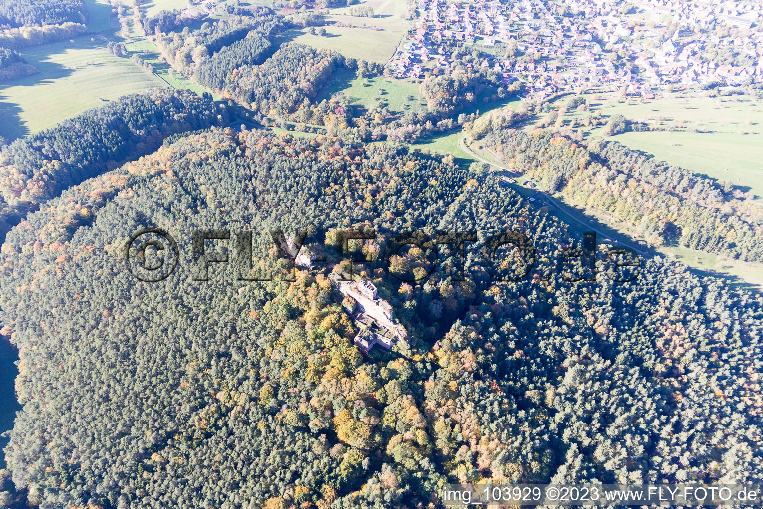 Busenberg, Burgruine Drachenfels im Bundesland Rheinland-Pfalz, Deutschland aus der Luft betrachtet