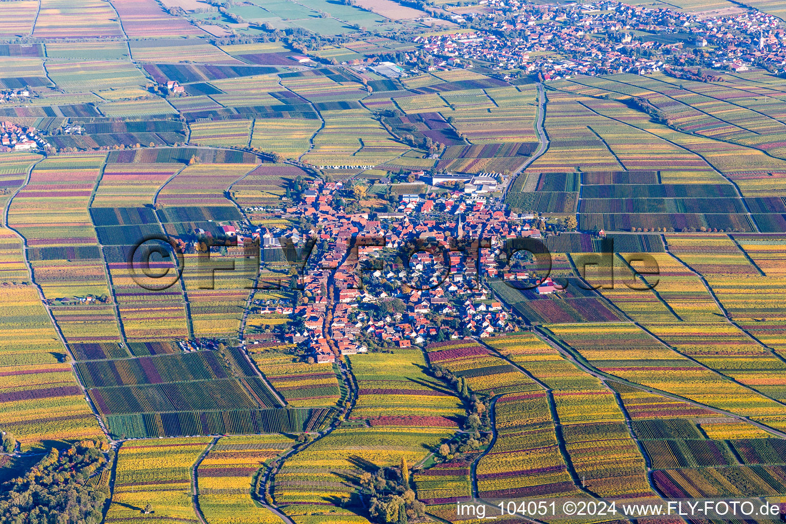 Dorf - Ansicht am Rande von landwirtschaftlichen Feldern und Nutzflächen in Rhodt in Rhodt unter Rietburg im Bundesland Rheinland-Pfalz, Deutschland