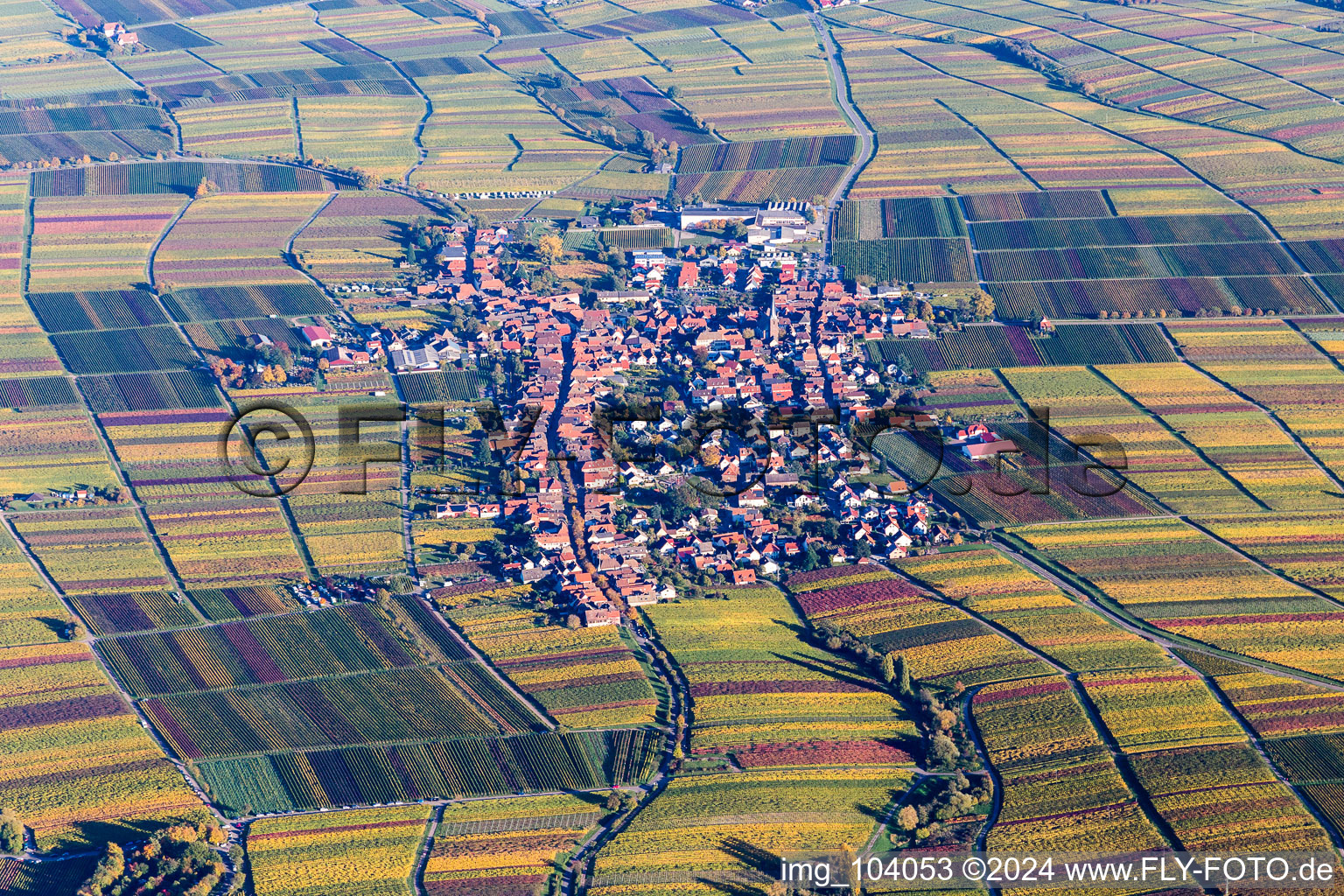 Luftbild von Dorf - Ansicht am Rande von Weinbergen in Herbstfärbung in Rhodt unter Rietburg im Bundesland Rheinland-Pfalz, Deutschland