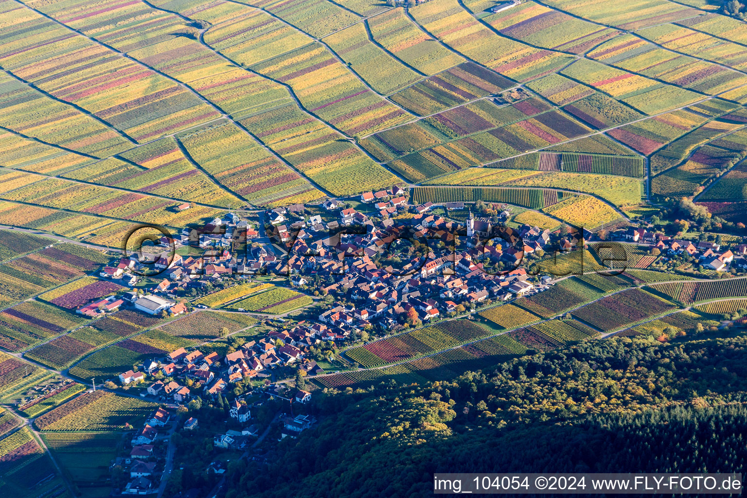 Luftbild von Weinbergs- Landschaft der Pfälzer Weinstraße bei Weyher in der Pfalz im Bundesland Rheinland-Pfalz, Deutschland