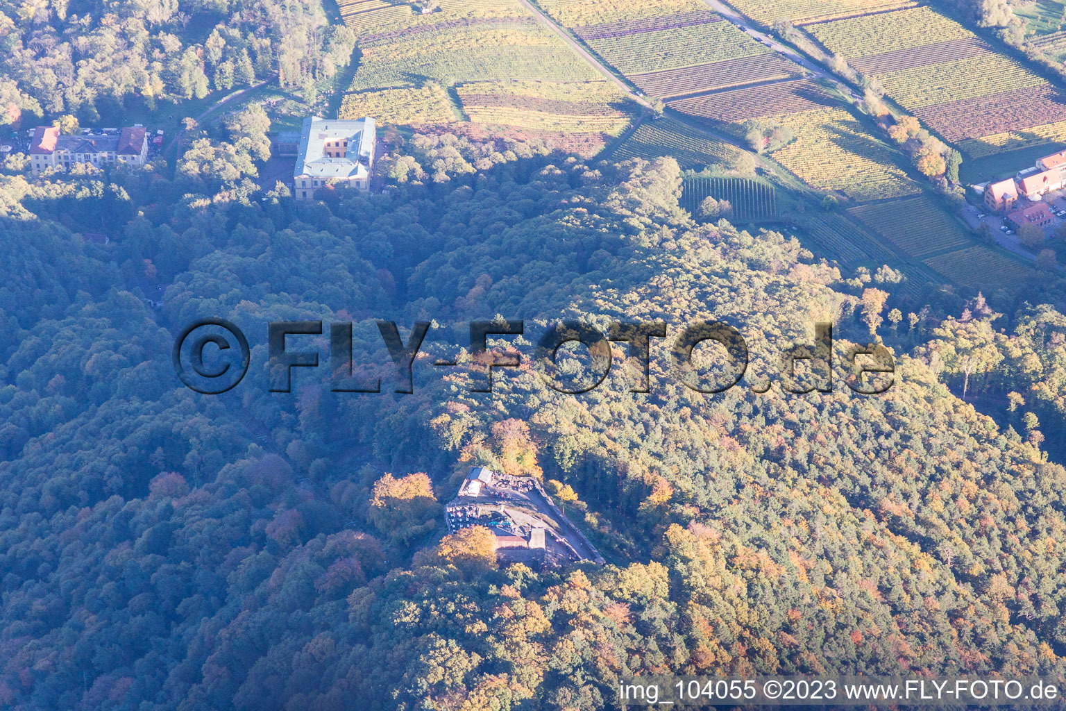 Rietburg in Rhodt unter Rietburg im Bundesland Rheinland-Pfalz, Deutschland aus der Luft betrachtet