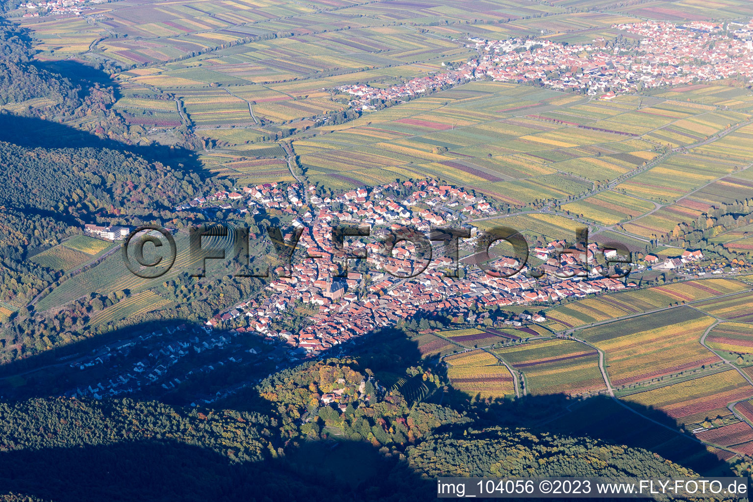 Luftbild von St. Martin in Sankt Martin im Bundesland Rheinland-Pfalz, Deutschland