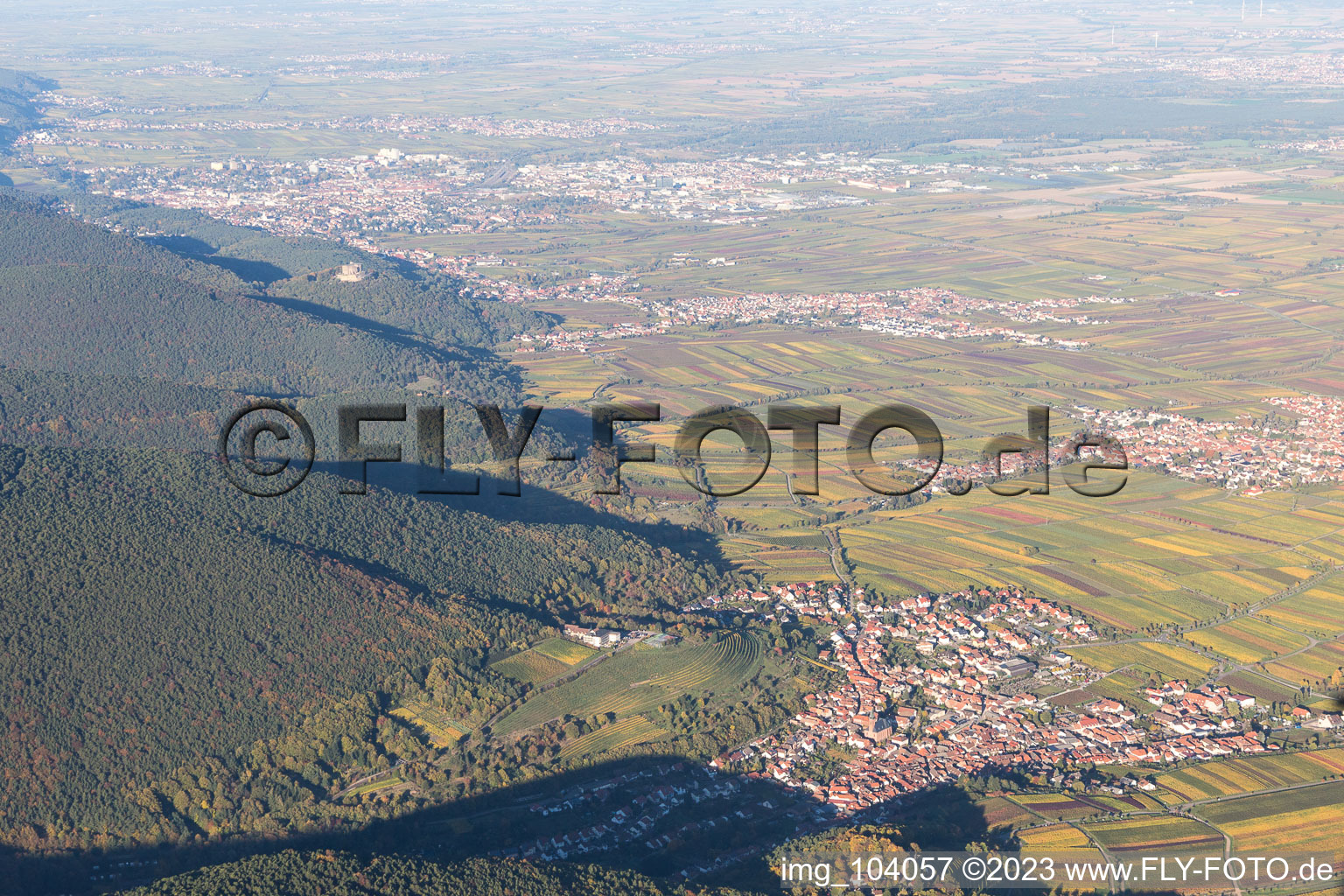 Luftaufnahme von St. Martin in Sankt Martin im Bundesland Rheinland-Pfalz, Deutschland