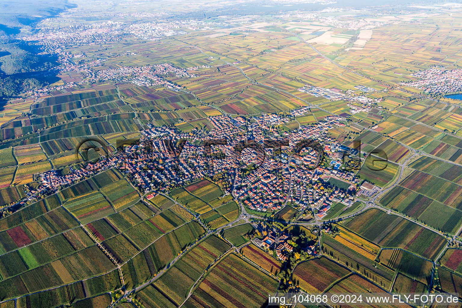 Luftbild von Ortsansicht der Straßen und Häuser der Wohngebiete in Maikammer im Bundesland Rheinland-Pfalz, Deutschland
