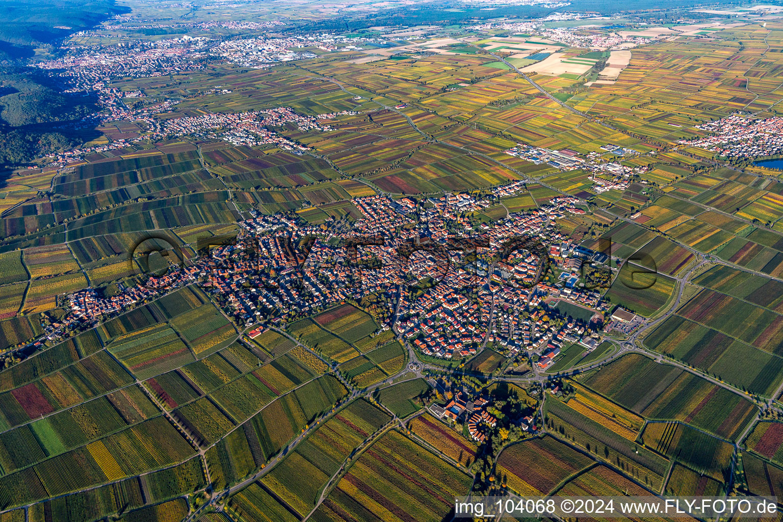 Luftbild von Ortsansicht der Straßen und Häuser der Wohngebiete in Maikammer im Bundesland Rheinland-Pfalz, Deutschland