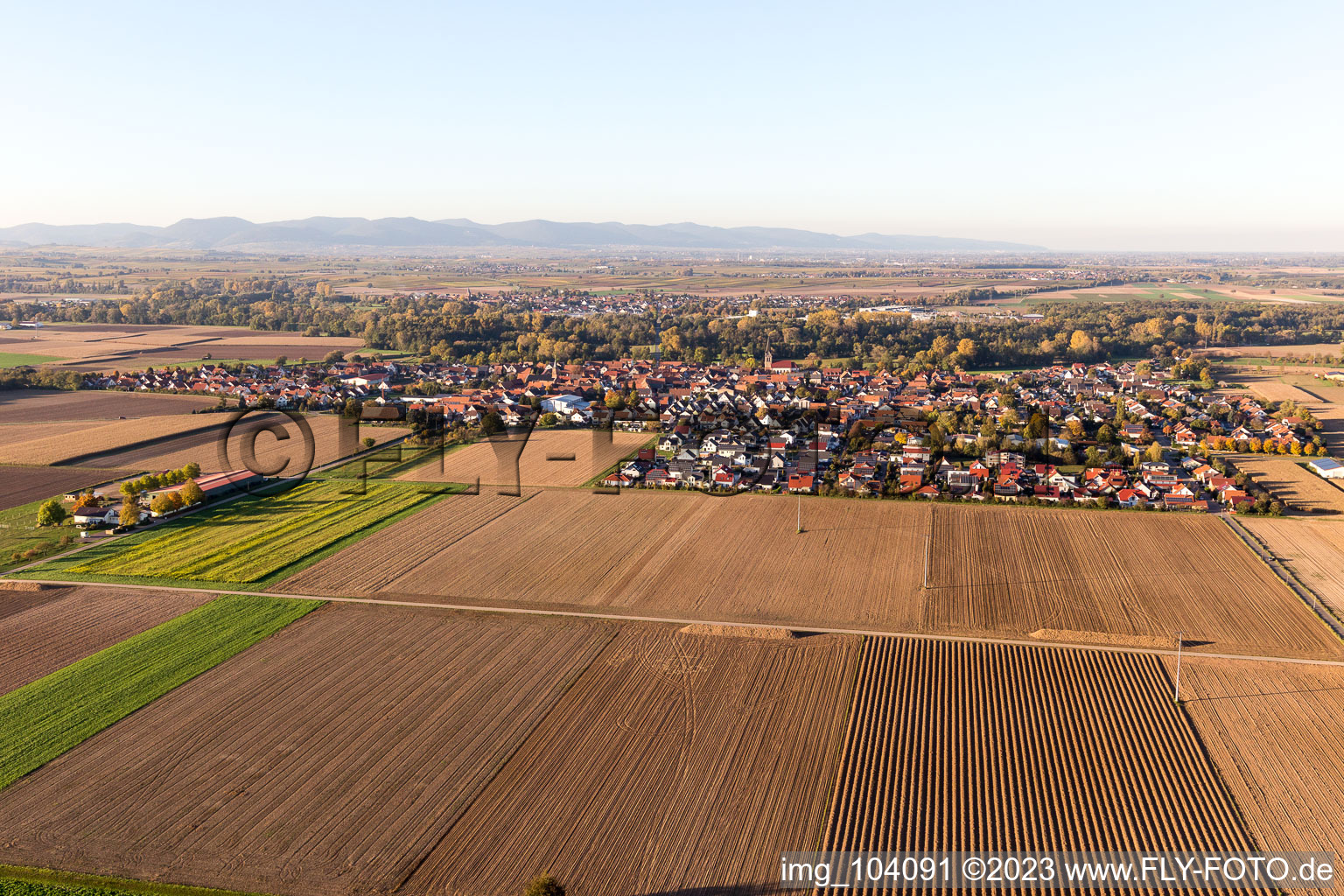 Steinweiler im Bundesland Rheinland-Pfalz, Deutschland von einer Drohne aus