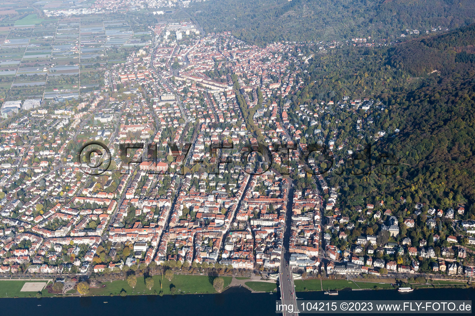 Luftaufnahme von Ortsteil Neuenheim in Heidelberg im Bundesland Baden-Württemberg, Deutschland
