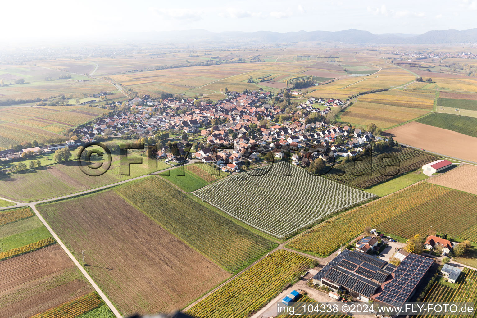 Impflingen im Bundesland Rheinland-Pfalz, Deutschland aus der Vogelperspektive