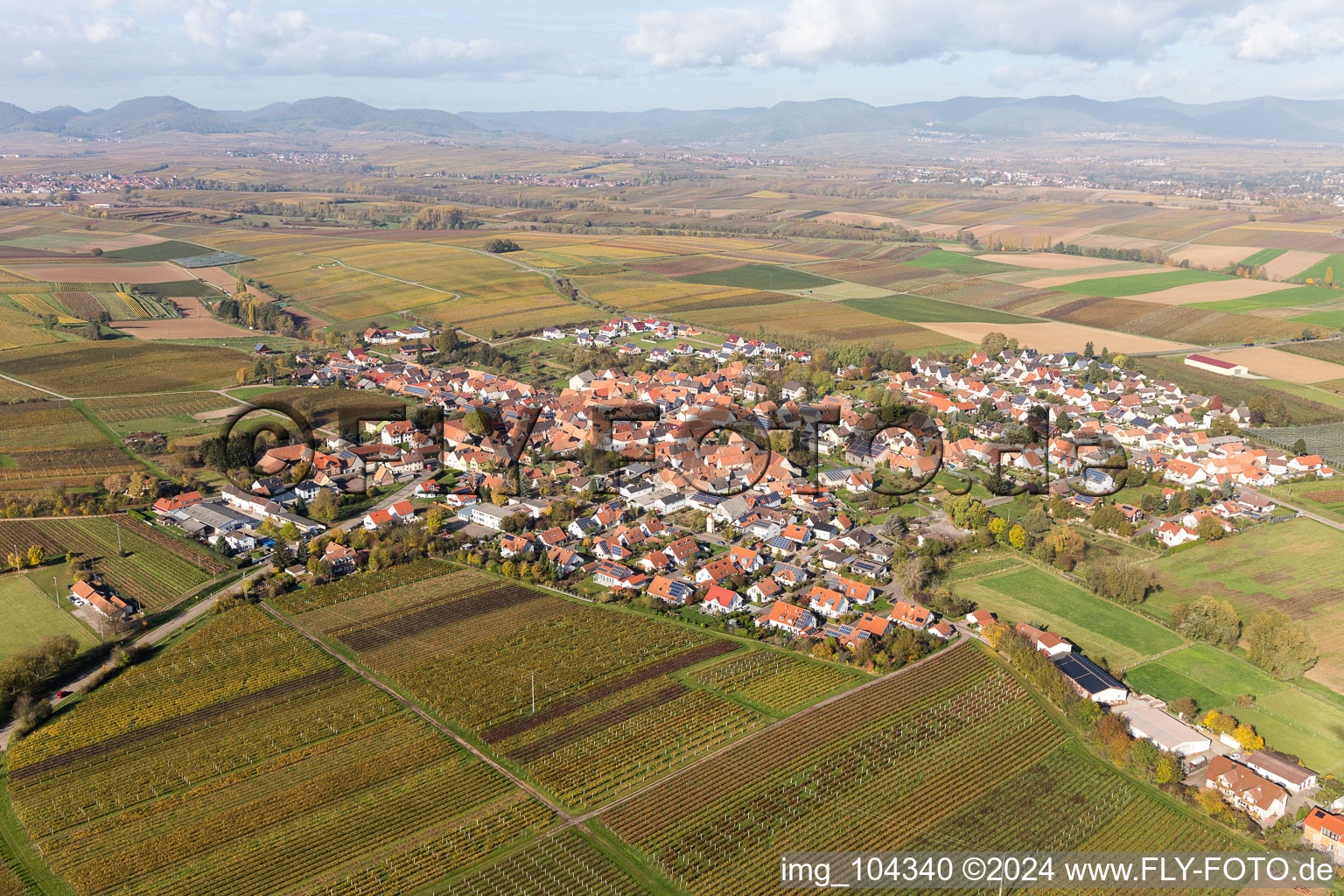 Drohnenaufname von Impflingen im Bundesland Rheinland-Pfalz, Deutschland