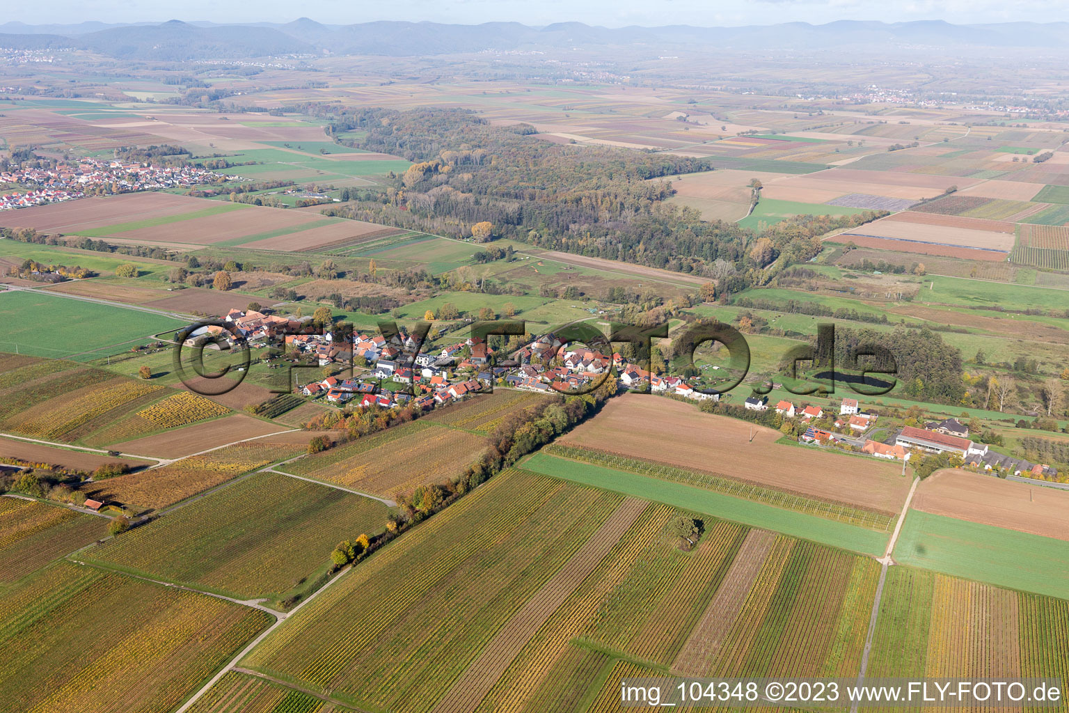 Hergersweiler im Bundesland Rheinland-Pfalz, Deutschland von oben