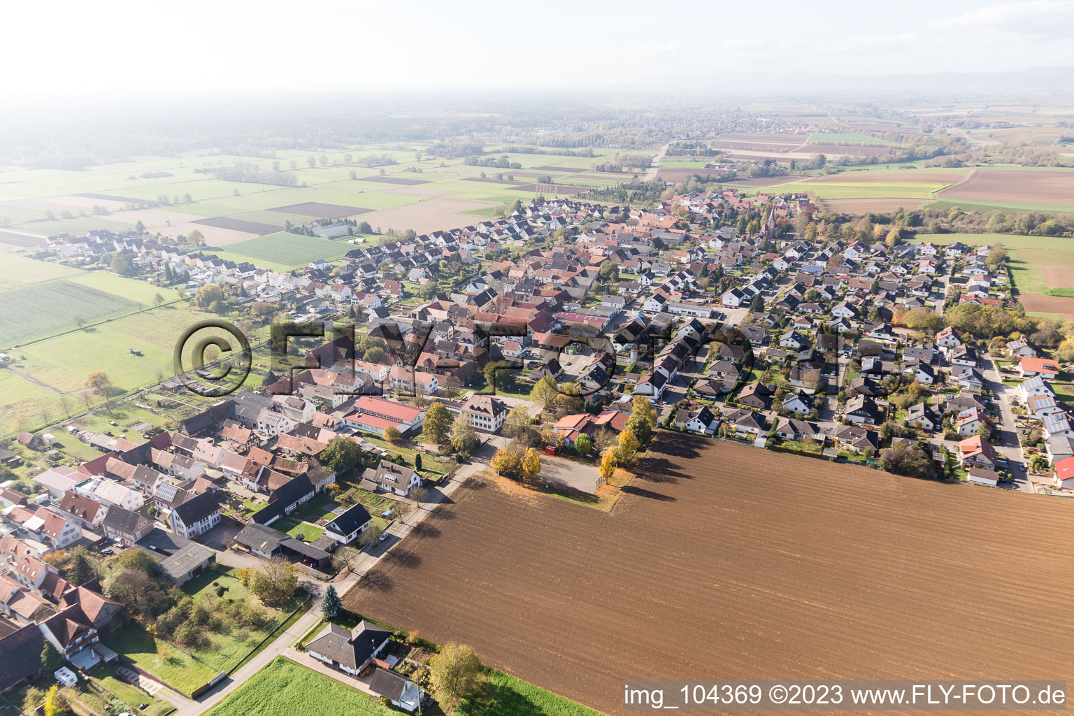 Freckenfeld im Bundesland Rheinland-Pfalz, Deutschland von oben