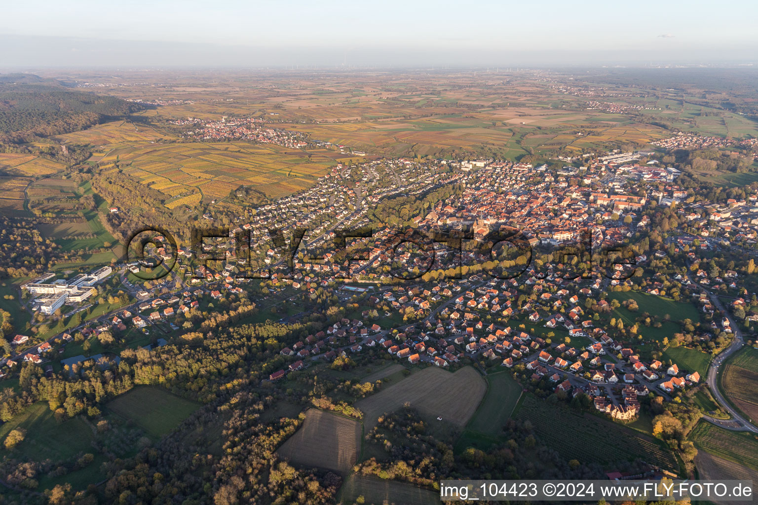 Ortsansicht vor den Weinbergen des Sonnenberg der Straßen und Häuser der Wohngebiete in Wissembourg in Grand Est im Bundesland Bas-Rhin, Frankreich
