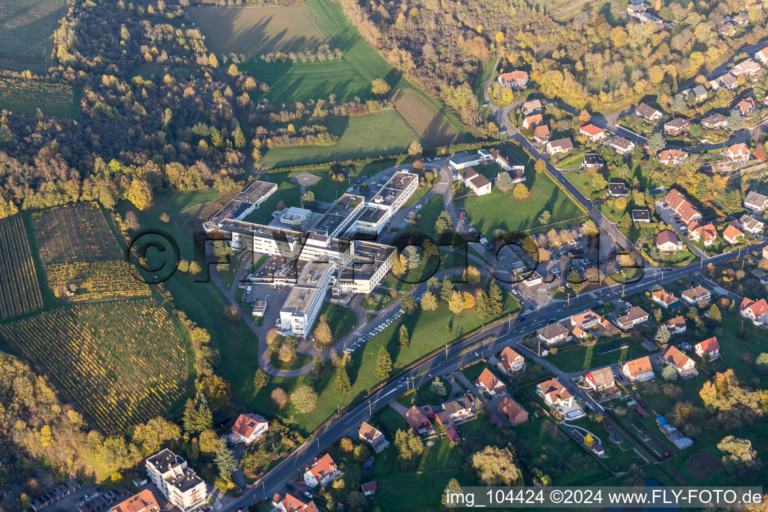 Luftaufnahme von Klinikgelände des Krankenhauses Centre Hospitalier de la Lauter in Wissembourg in Grand Est im Bundesland Bas-Rhin, Frankreich