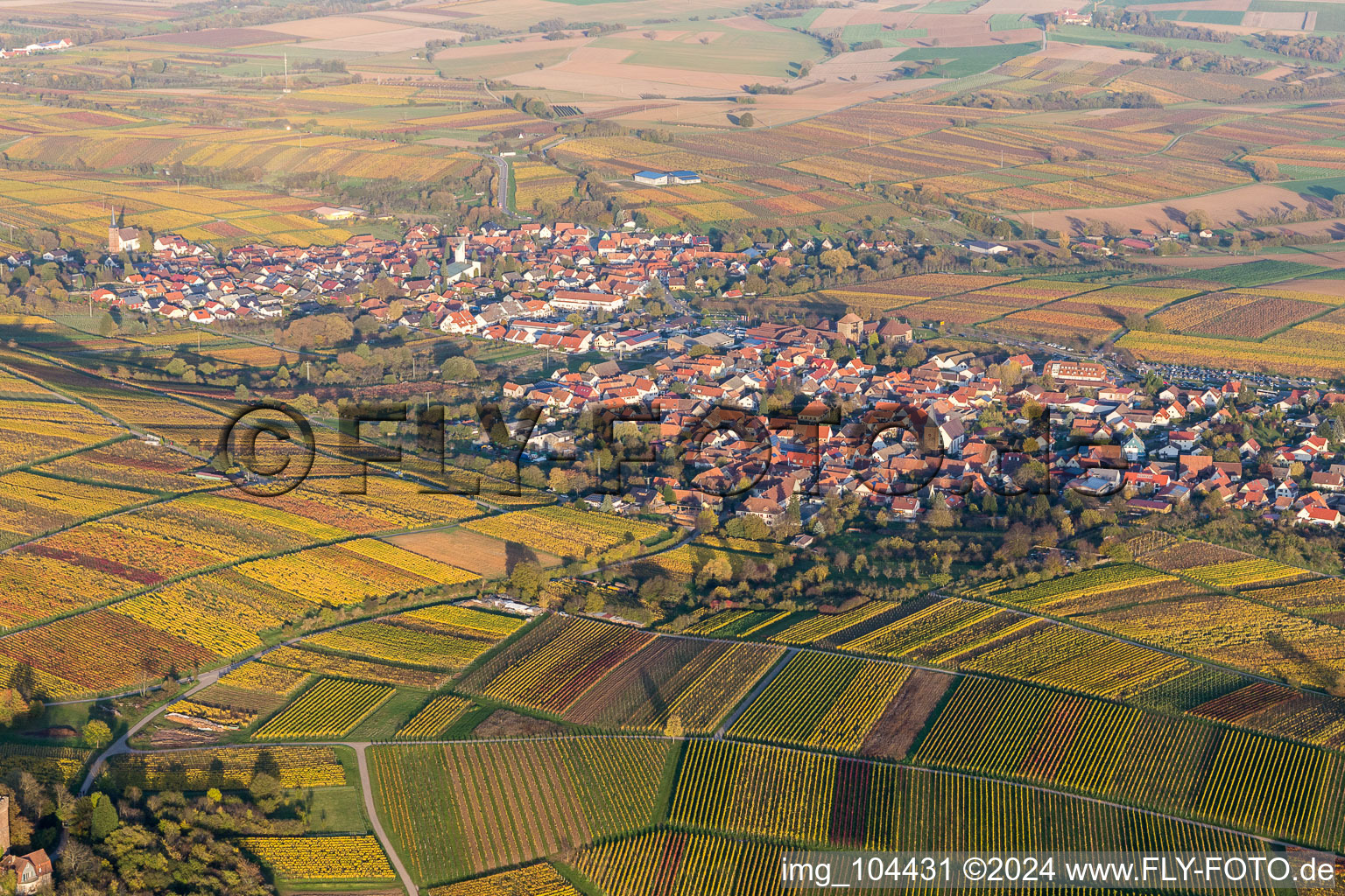 Luftbild von Dorf - Ansicht am Rande von Weinbergen in Schweigen in Schweigen-Rechtenbach im Bundesland Rheinland-Pfalz, Deutschland