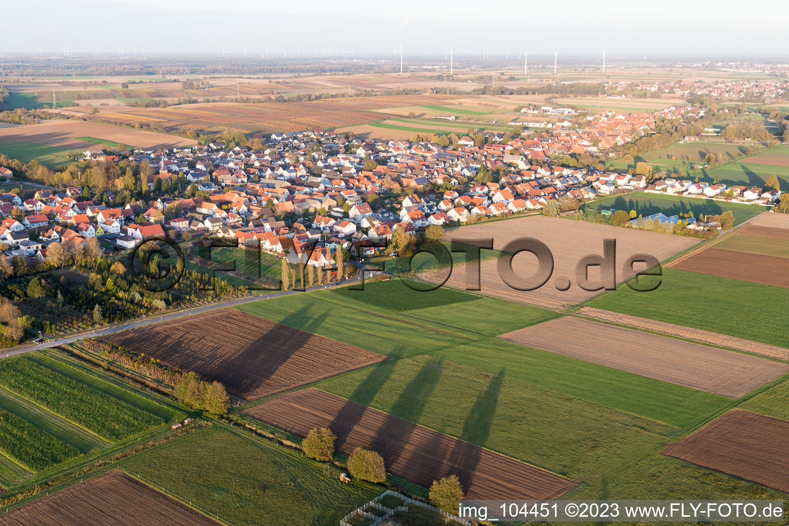 Freckenfeld im Bundesland Rheinland-Pfalz, Deutschland aus der Vogelperspektive