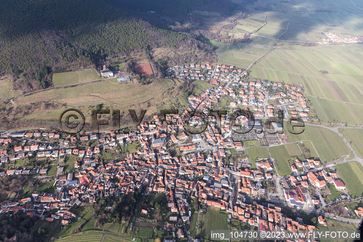 Sankt Martin im Bundesland Rheinland-Pfalz, Deutschland aus der Luft betrachtet