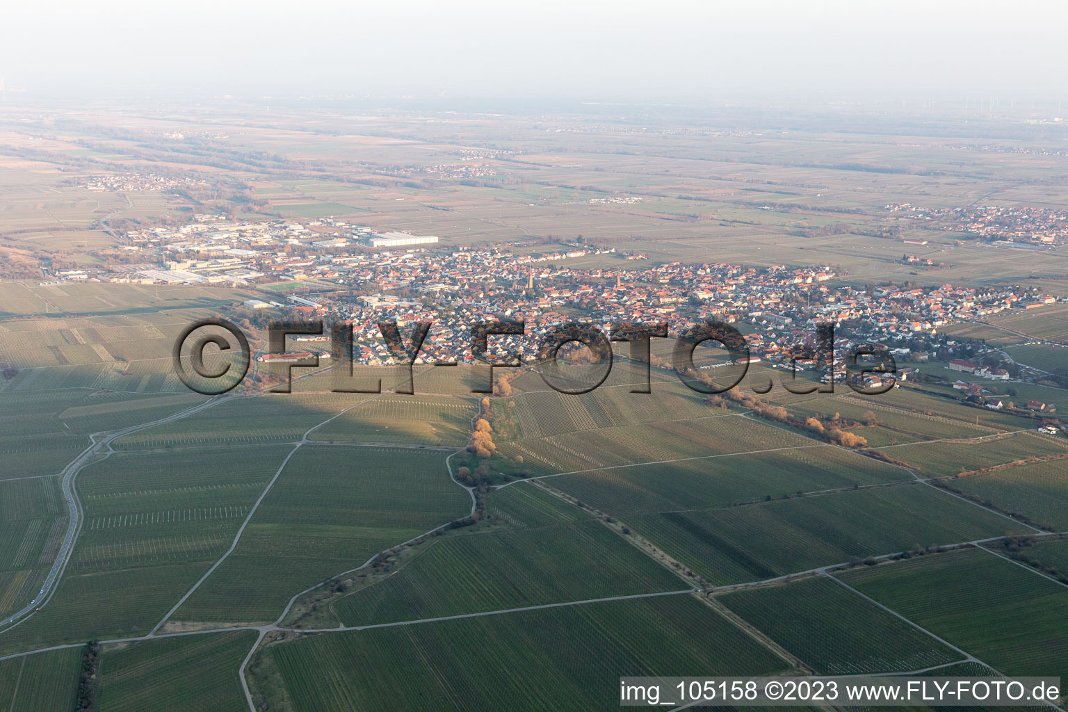 Luftaufnahme von Edenkoben im Bundesland Rheinland-Pfalz, Deutschland