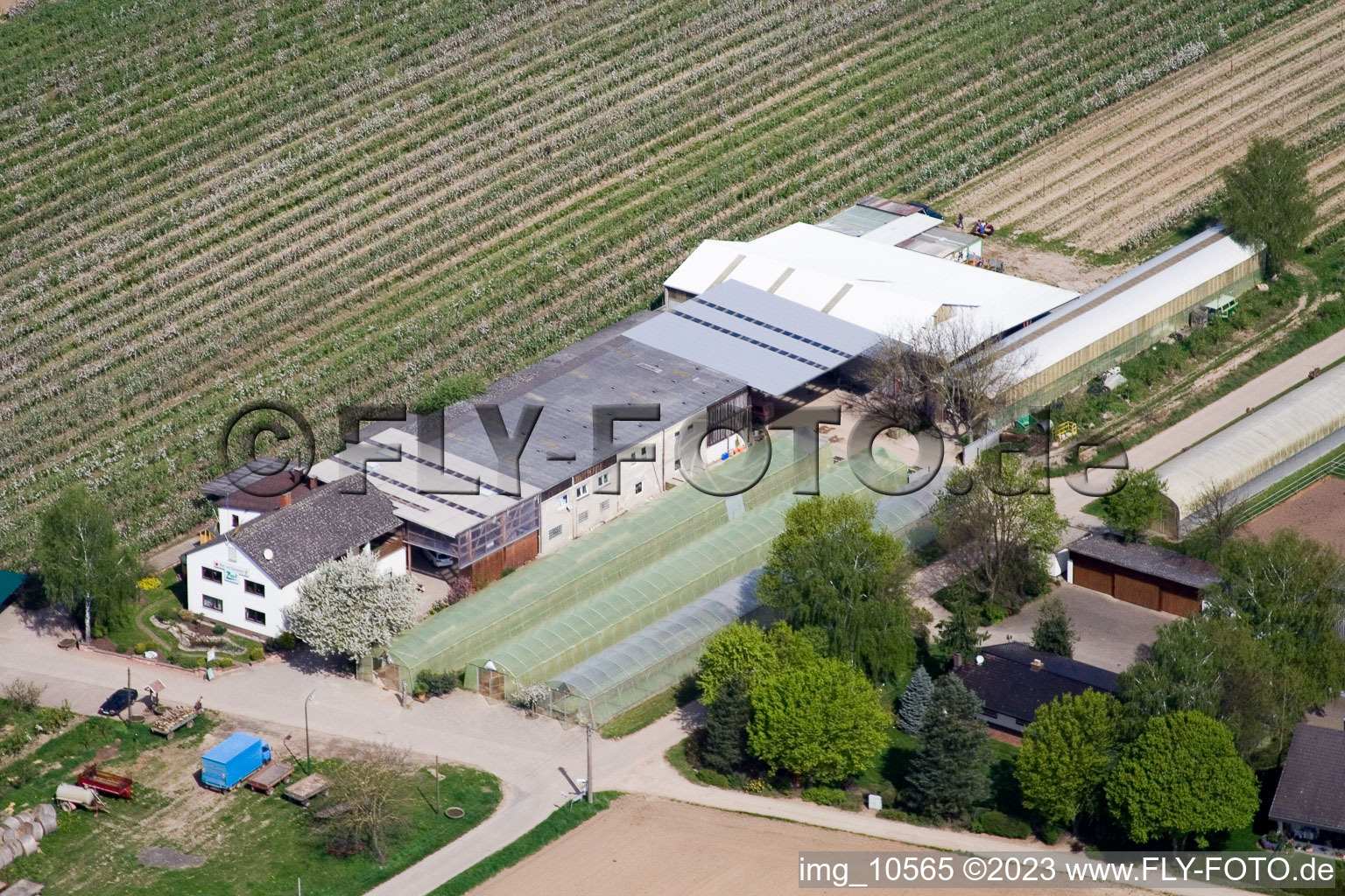 Luftbild von Kandel, Obst-und Gemüsehof Zapf im Bundesland Rheinland-Pfalz, Deutschland