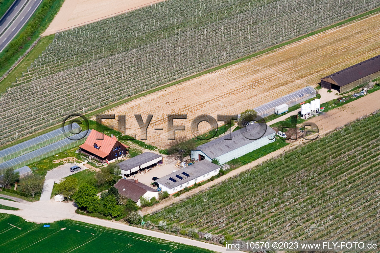 Kandel, Obsthof Zapf im Bundesland Rheinland-Pfalz, Deutschland aus der Luft