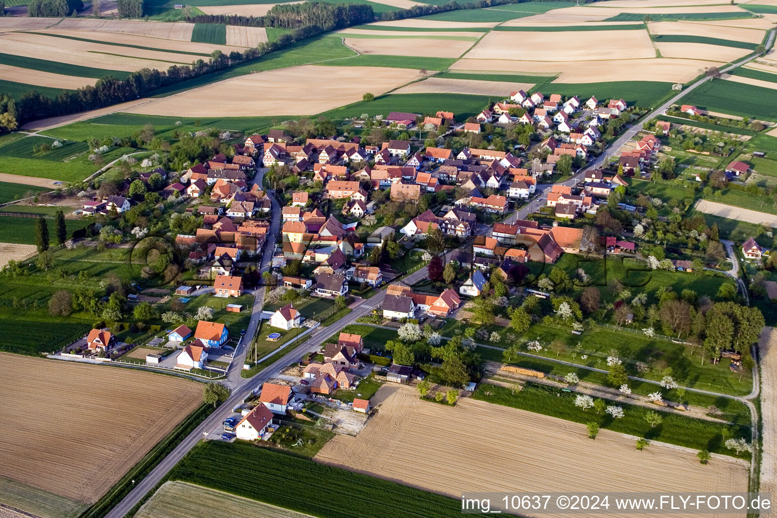 Schrägluftbild von Dorf - Ansicht am Rande von landwirtschaftlichen Feldern und Nutzflächen in Hoffen in Grand Est im Bundesland Bas-Rhin, Frankreich