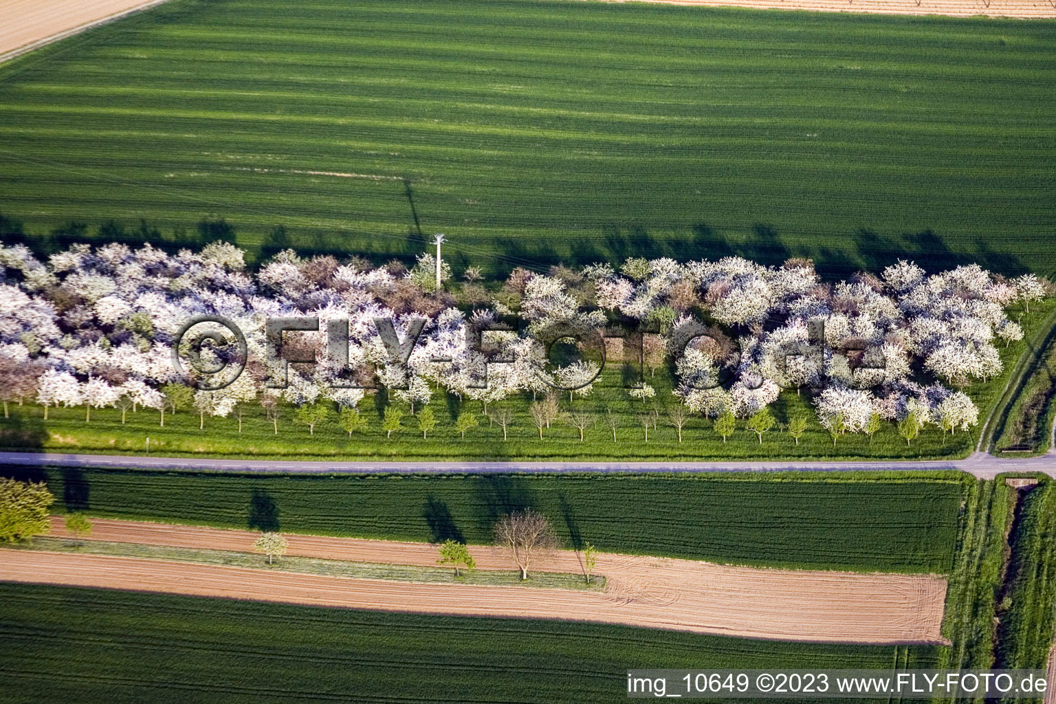 Reimerswiller im Bundesland Bas-Rhin, Frankreich aus der Luft
