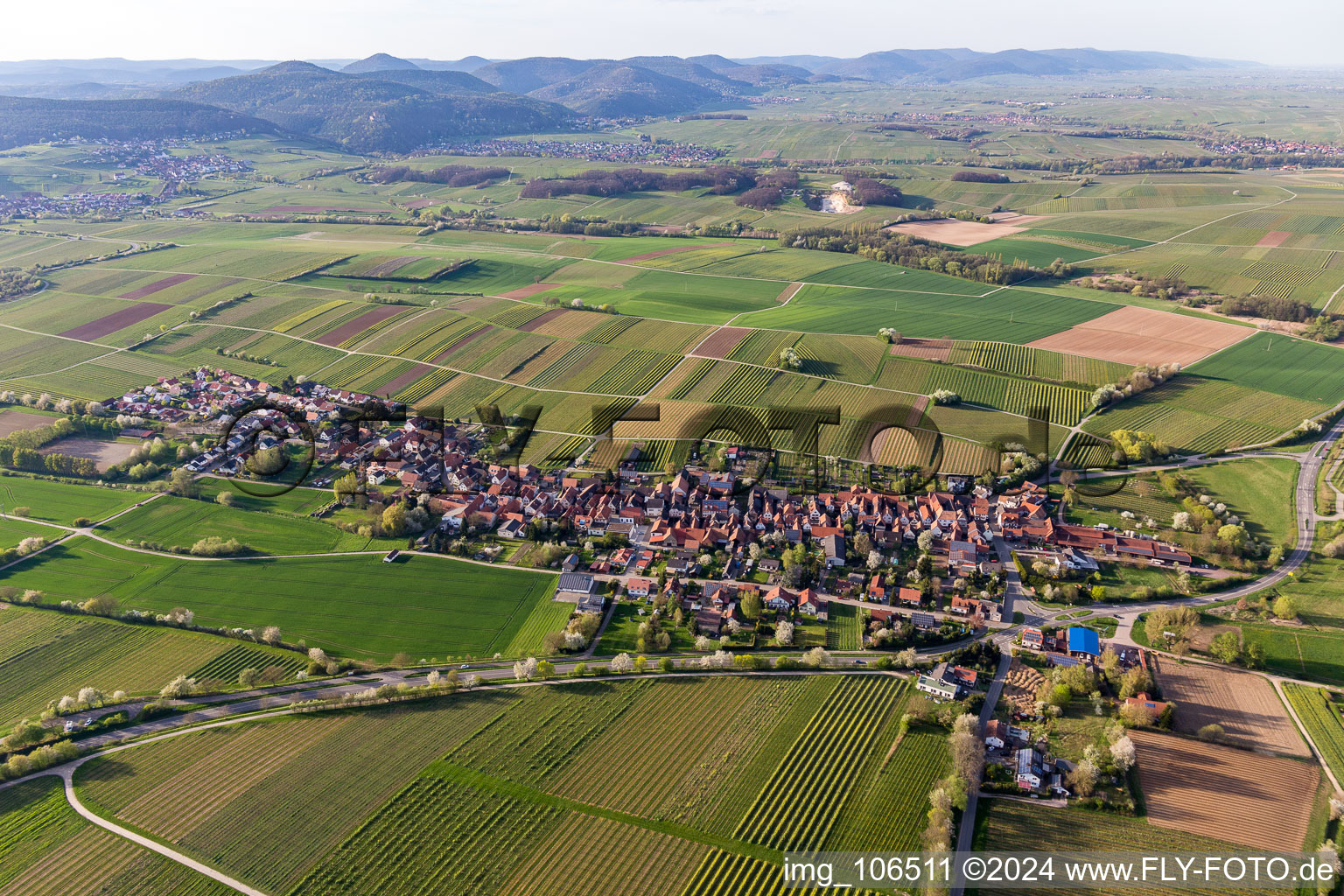 Niederhorbach im Bundesland Rheinland-Pfalz, Deutschland aus der Vogelperspektive