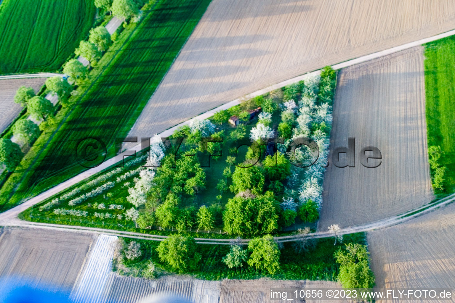Surbourg im Bundesland Bas-Rhin, Frankreich von einer Drohne aus