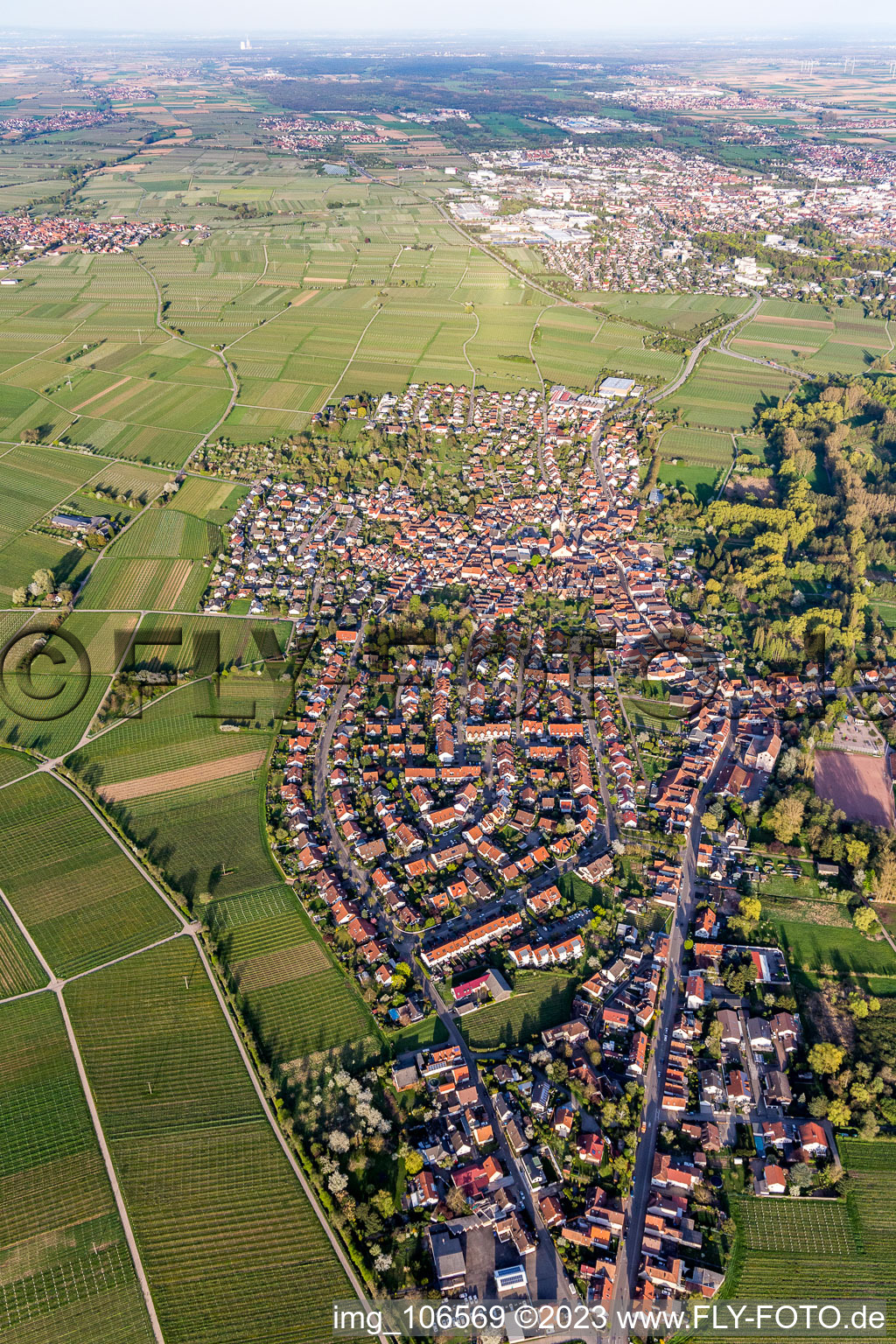 Drohnenbild von Siebeldingen im Bundesland Rheinland-Pfalz, Deutschland