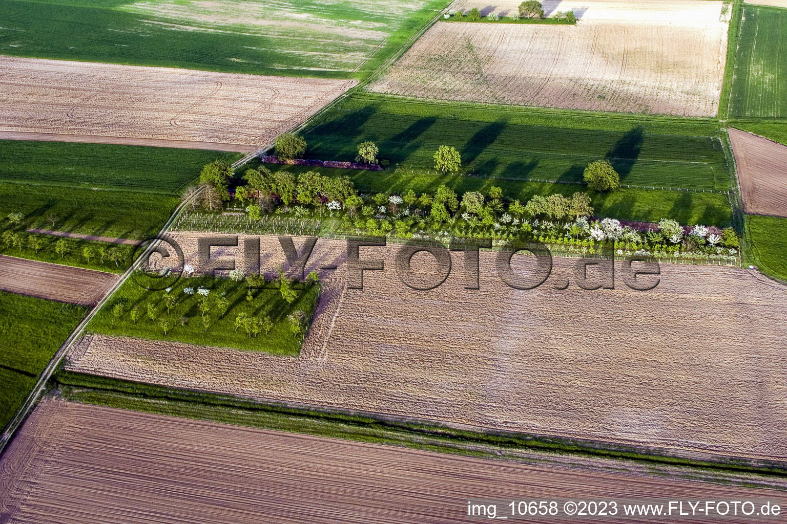 Luftbild von Surbourg im Bundesland Bas-Rhin, Frankreich