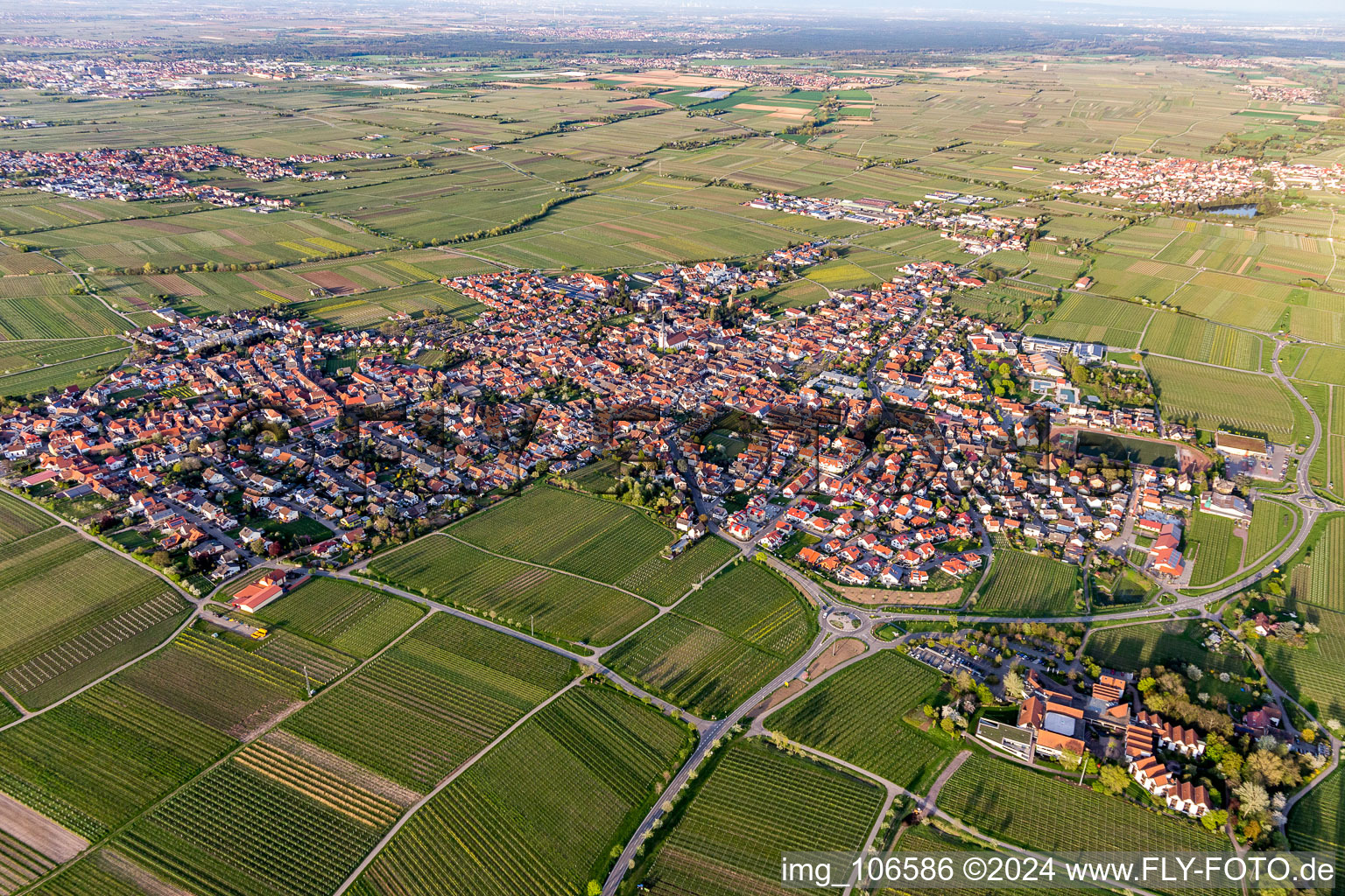 Maikammer im Bundesland Rheinland-Pfalz, Deutschland aus der Luft betrachtet
