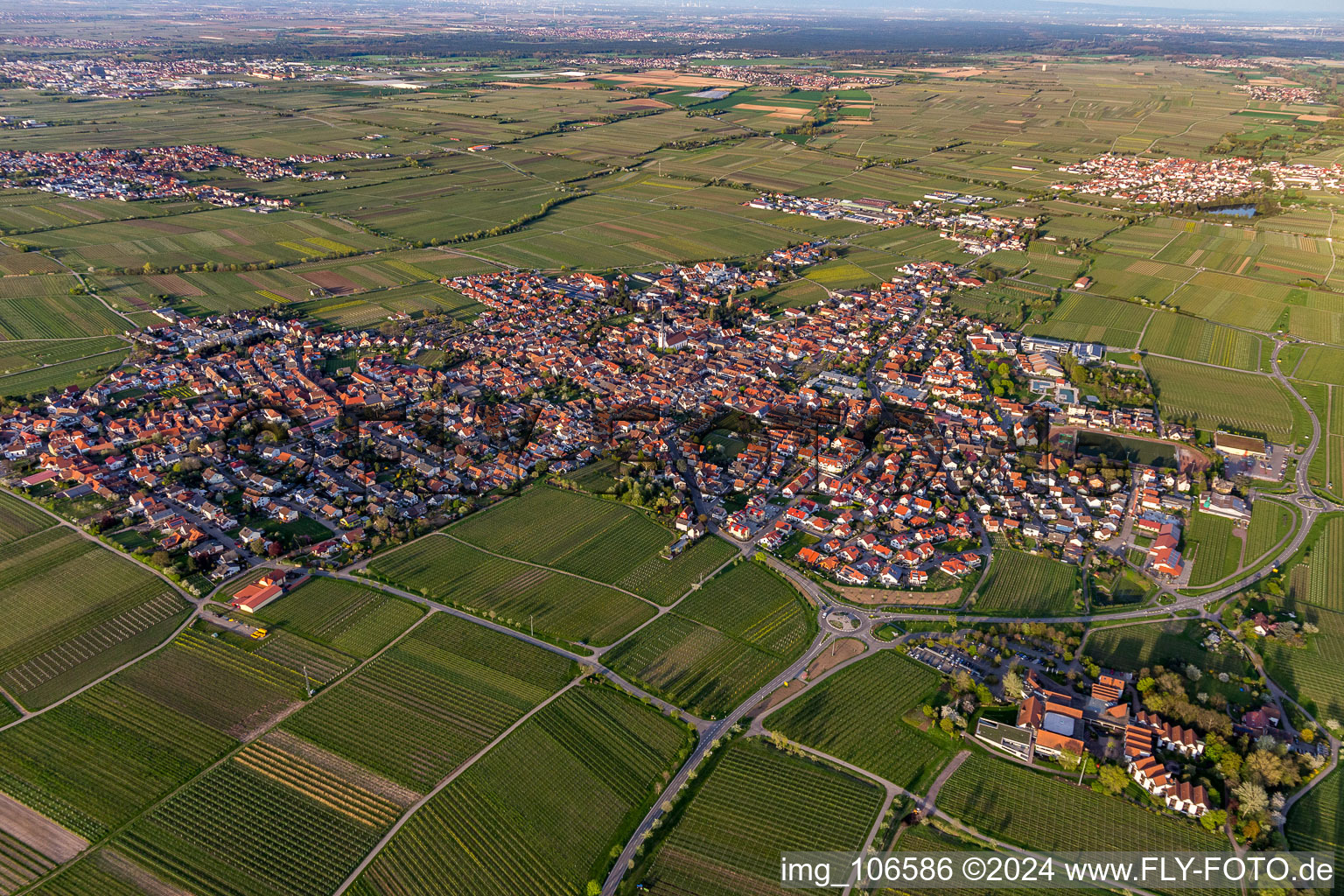 Maikammer im Bundesland Rheinland-Pfalz, Deutschland aus der Luft