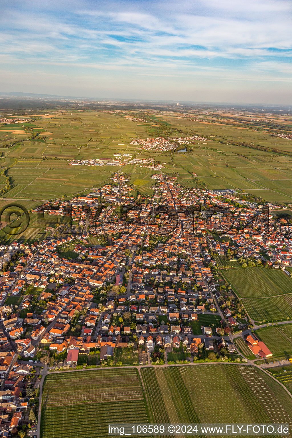 Maikammer im Bundesland Rheinland-Pfalz, Deutschland vom Flugzeug aus