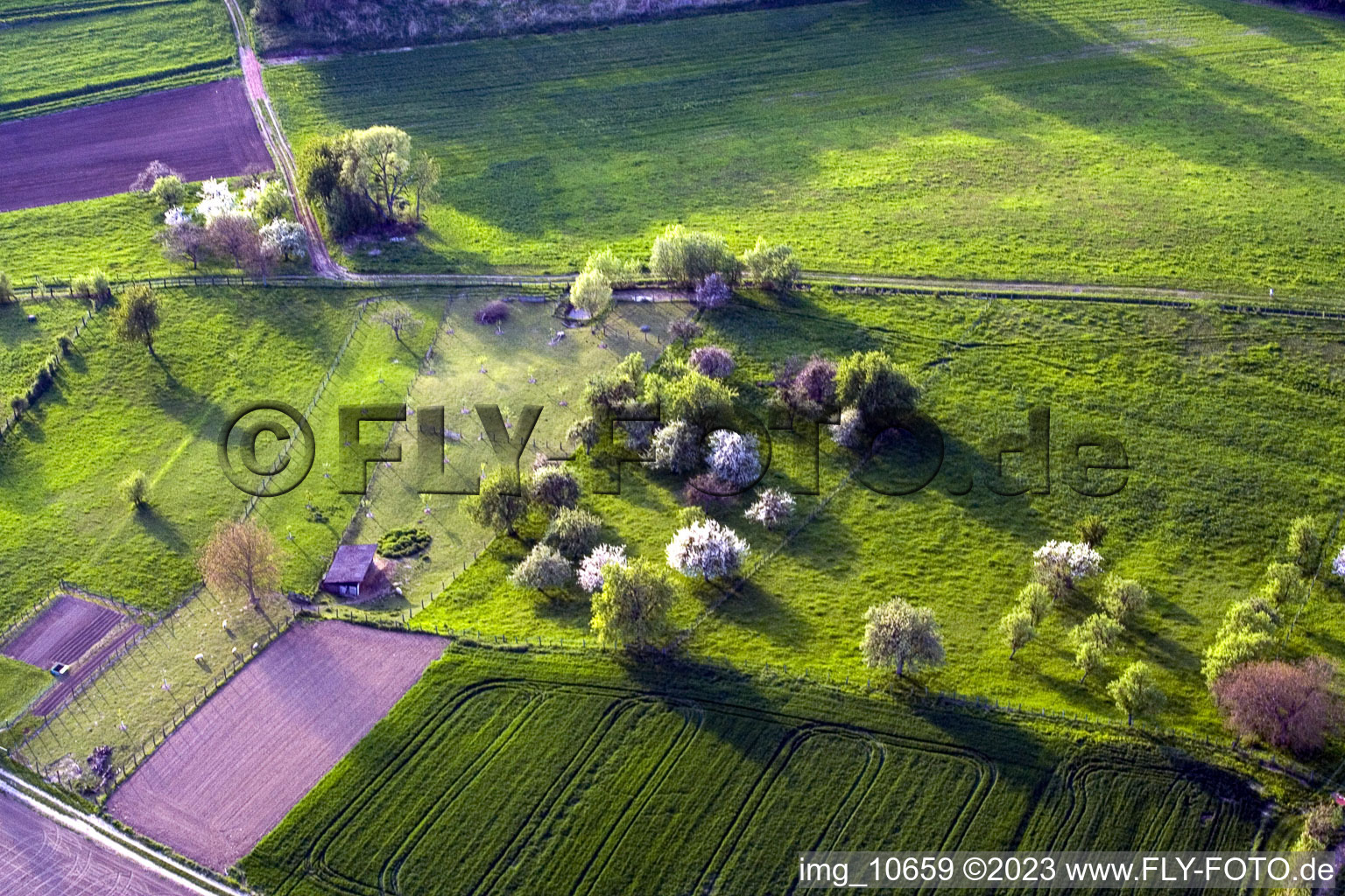 Luftaufnahme von Surbourg im Bundesland Bas-Rhin, Frankreich
