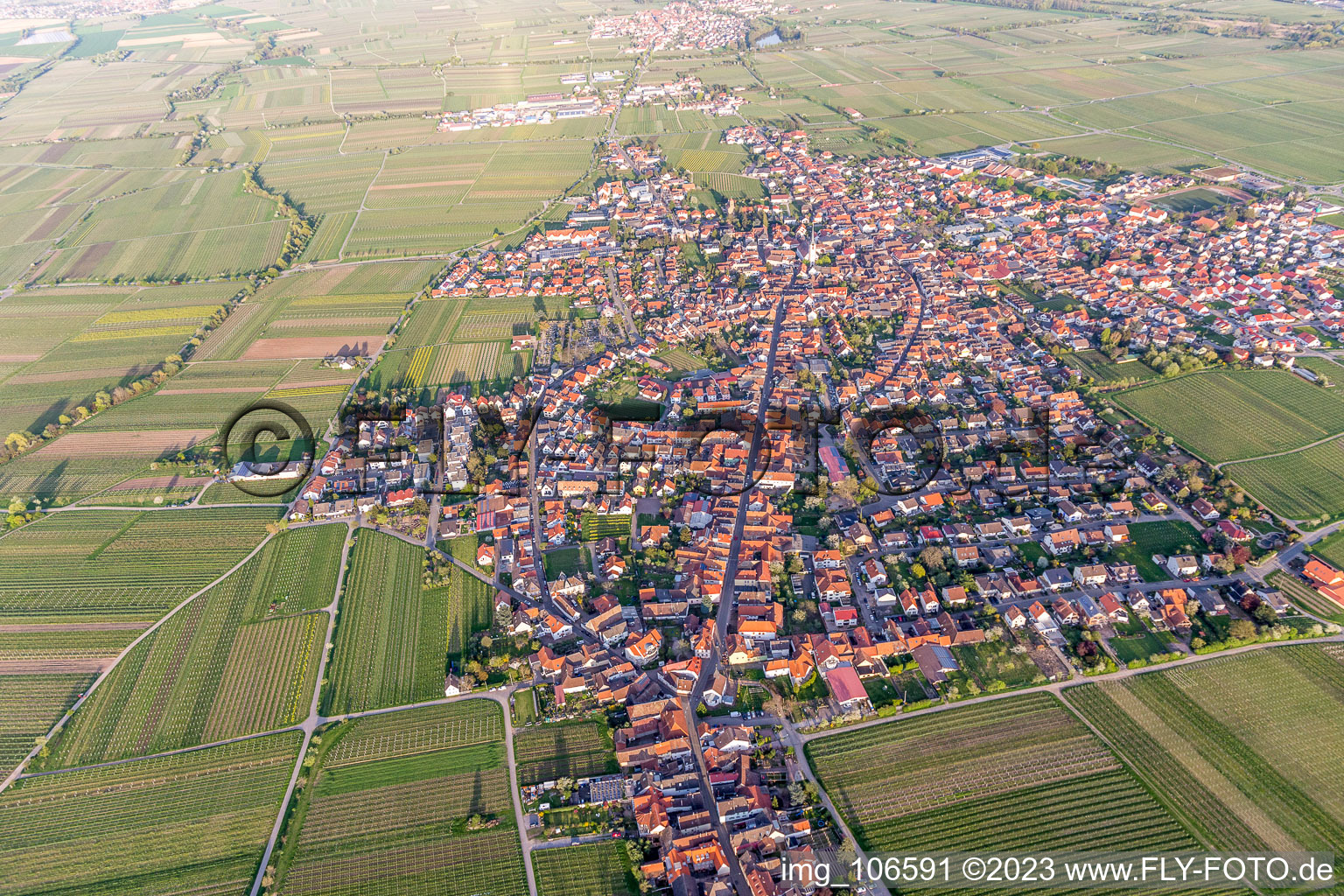 Maikammer im Bundesland Rheinland-Pfalz, Deutschland von einer Drohne aus