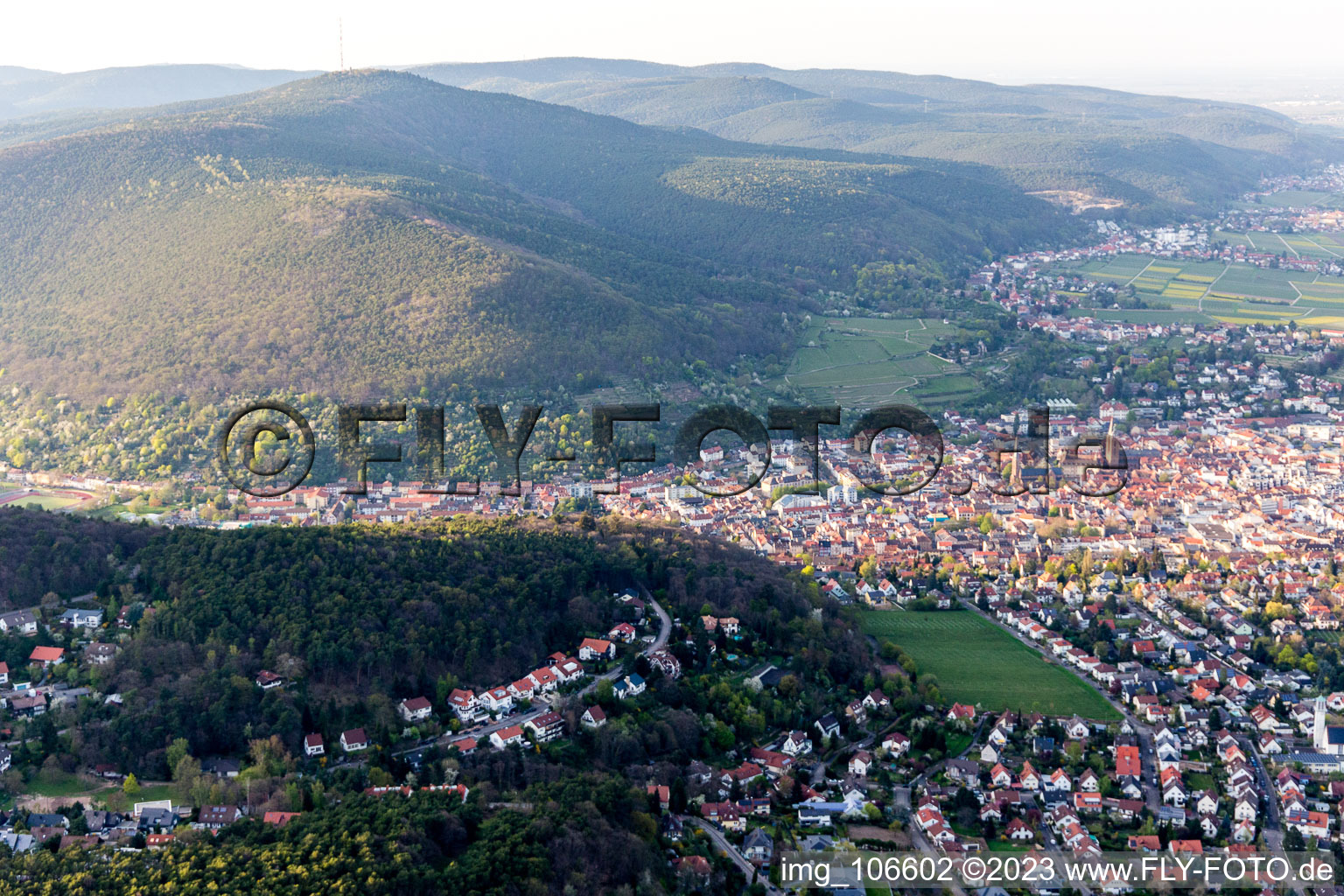 Neustadt an der Weinstraße im Bundesland Rheinland-Pfalz, Deutschland aus der Luft betrachtet