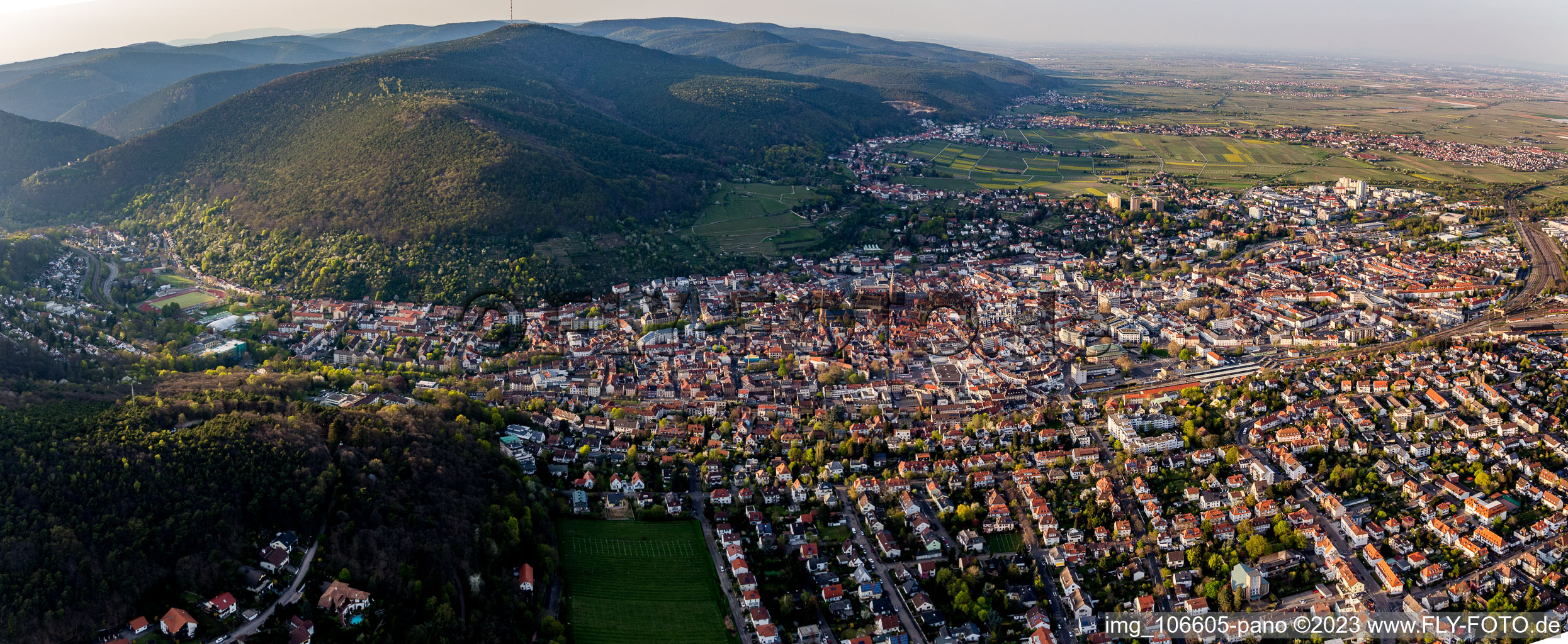 Neustadt an der Weinstraße im Bundesland Rheinland-Pfalz, Deutschland aus der Drohnenperspektive