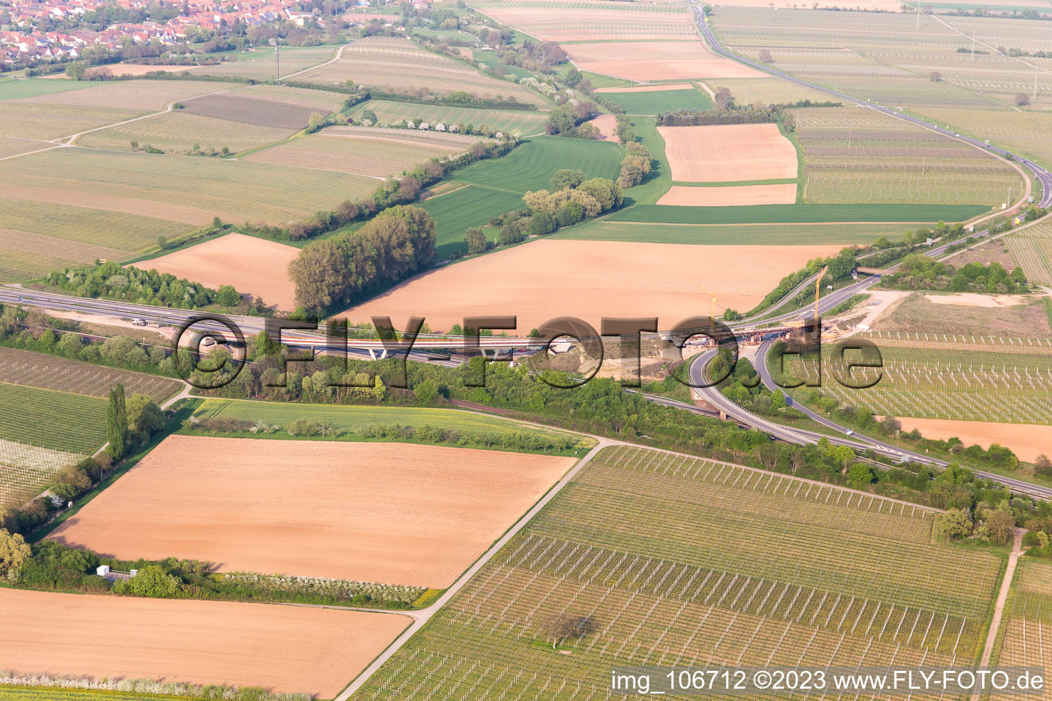 Ortsteil Dammheim in Landau in der Pfalz im Bundesland Rheinland-Pfalz, Deutschland von oben
