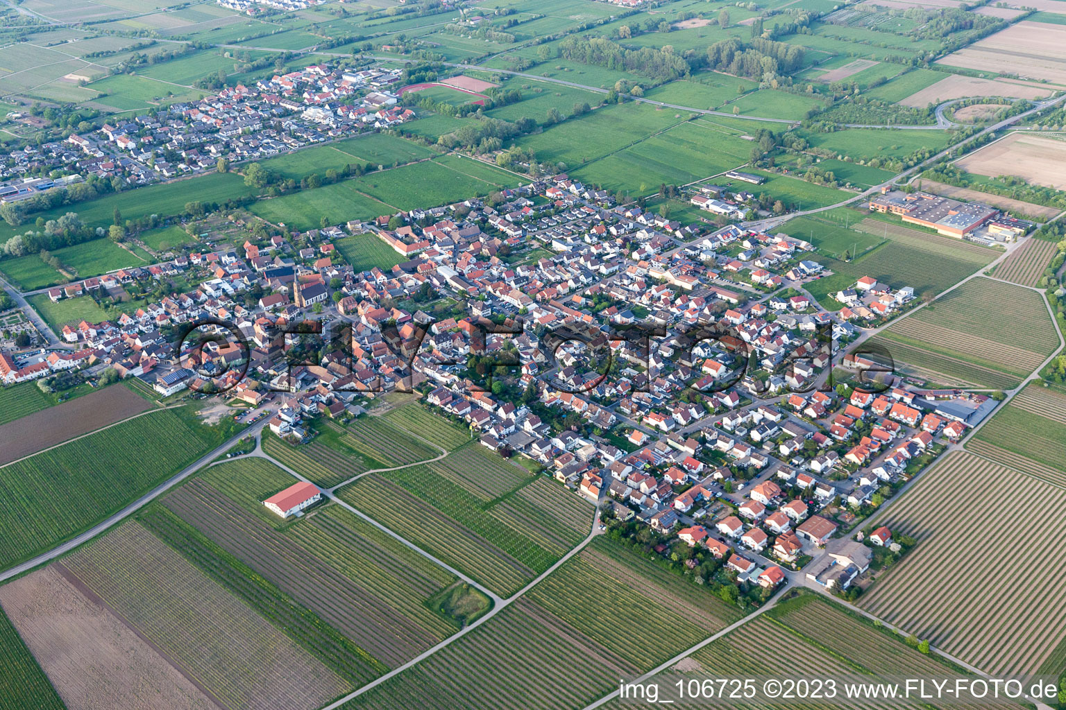 Ruppertsberg im Bundesland Rheinland-Pfalz, Deutschland aus der Luft