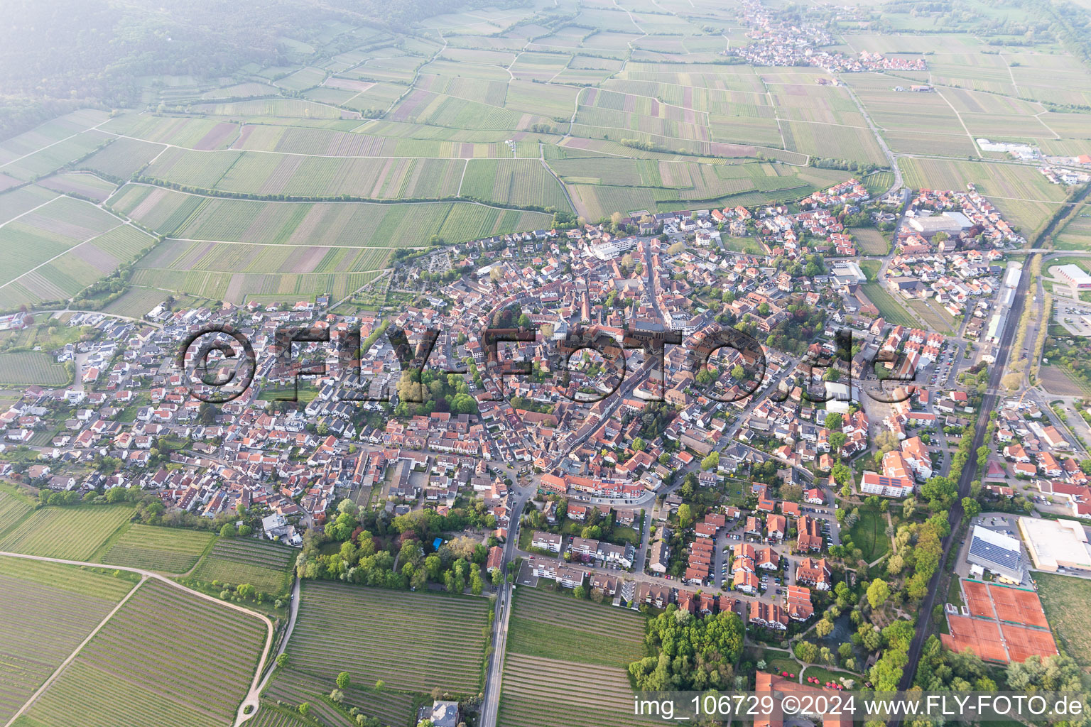 Schrägluftbild von Deidesheim im Bundesland Rheinland-Pfalz, Deutschland