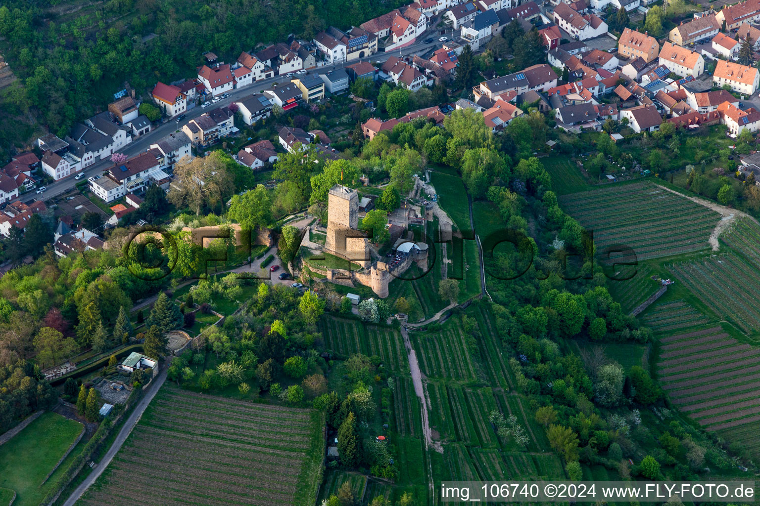Ehemalige Burganlage Wachtenburg (Ruine "Burg Wachenheim") in Wachenheim an der Weinstraße im Bundesland Rheinland-Pfalz, Deutschland