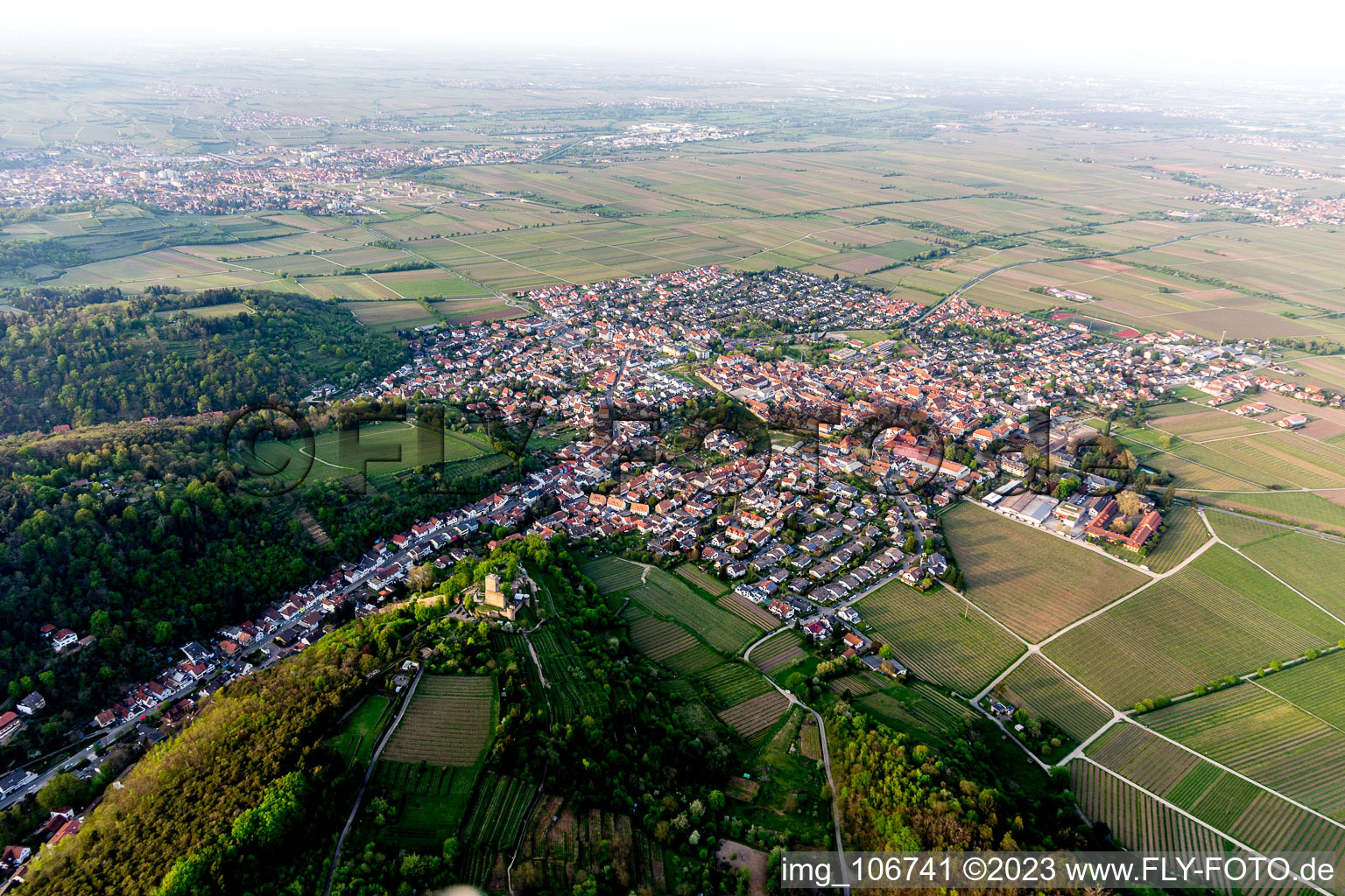 Luftbild von Wachtenburg (Ruine "Burg Wachenheim") in Wachenheim an der Weinstraße im Bundesland Rheinland-Pfalz, Deutschland