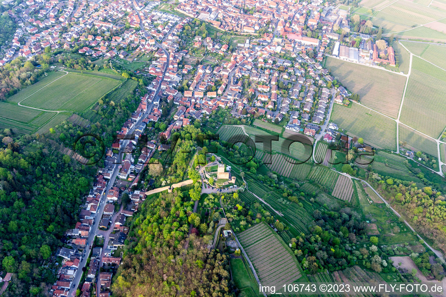 Luftaufnahme von Wachtenburg (Ruine "Burg Wachenheim") in Wachenheim an der Weinstraße im Bundesland Rheinland-Pfalz, Deutschland
