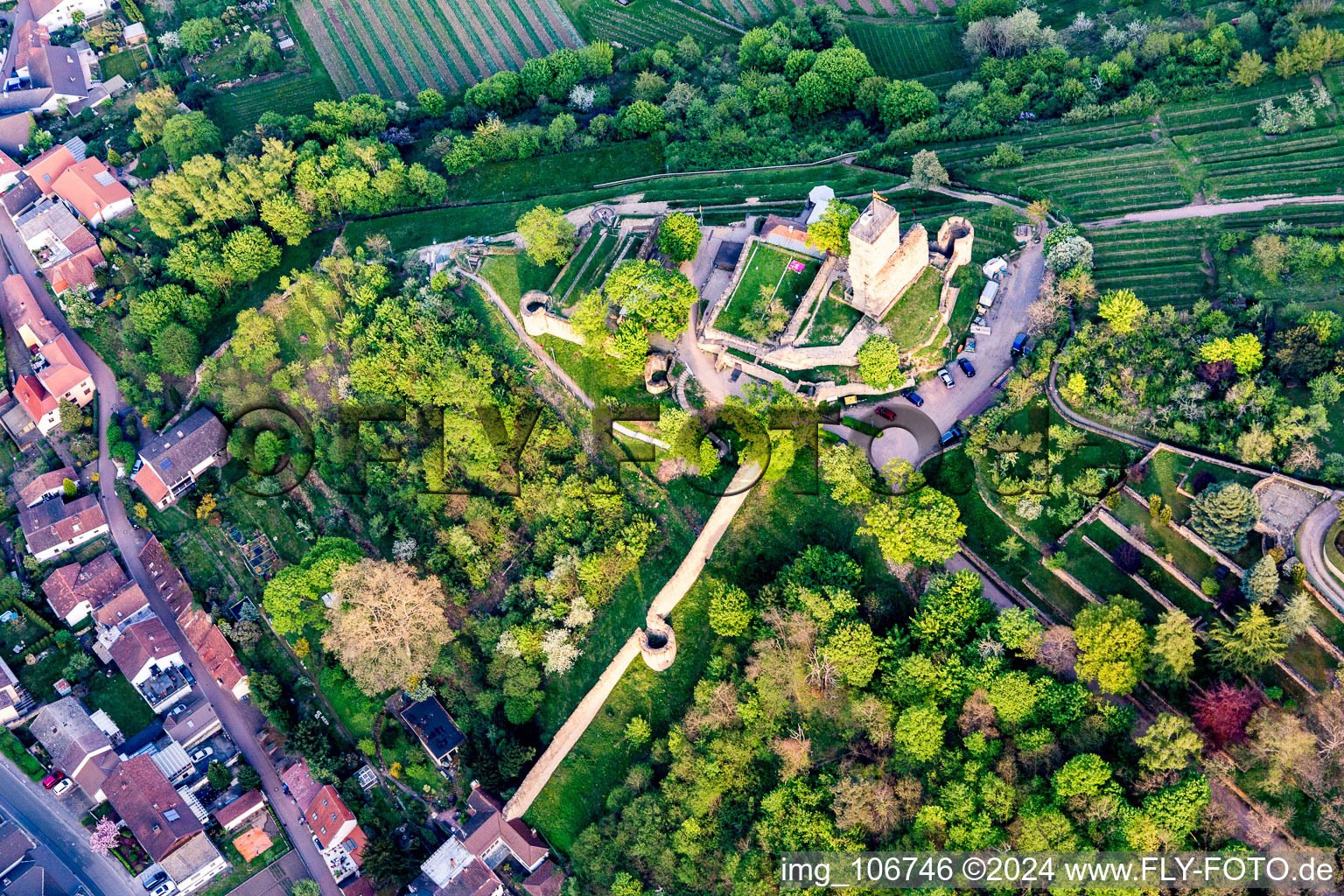 Luftbild von Ehemalige Burganlage Wachtenburg (Ruine "Burg Wachenheim") in Wachenheim an der Weinstraße im Bundesland Rheinland-Pfalz, Deutschland