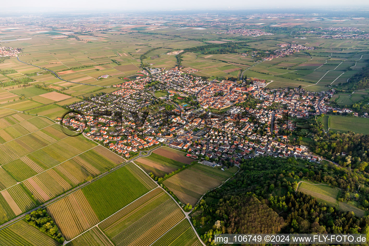 Luftbild von Ortsansicht am Rande von landwirtschaftlichen Feldern und Nutzflächen in Wachenheim an der Weinstraße im Bundesland Rheinland-Pfalz, Deutschland