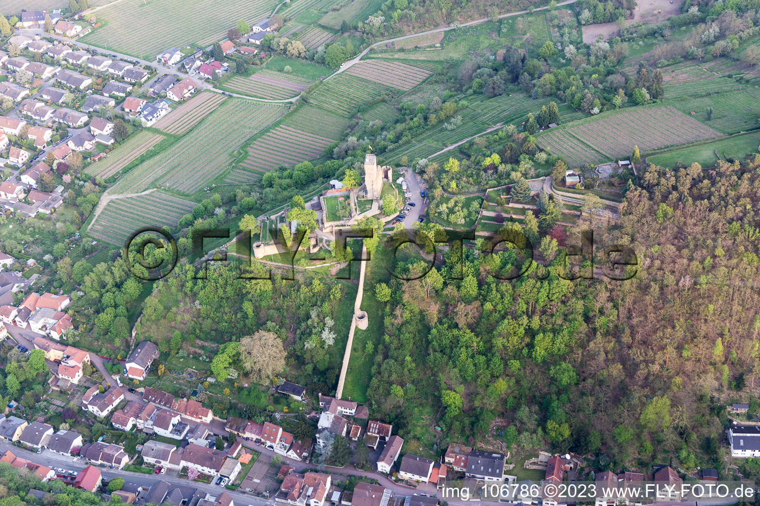 Wachtenburg (Ruine "Burg Wachenheim") in Wachenheim an der Weinstraße im Bundesland Rheinland-Pfalz, Deutschland aus der Luft