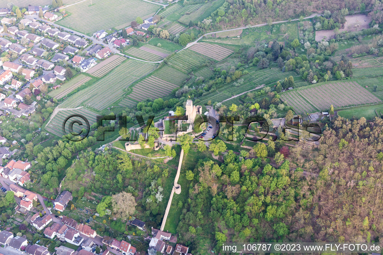 Wachtenburg (Ruine "Burg Wachenheim") in Wachenheim an der Weinstraße im Bundesland Rheinland-Pfalz, Deutschland von oben gesehen