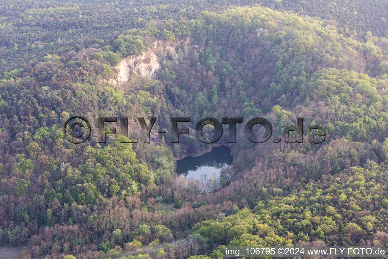 Drohnenaufname von Wachenheim an der Weinstraße im Bundesland Rheinland-Pfalz, Deutschland