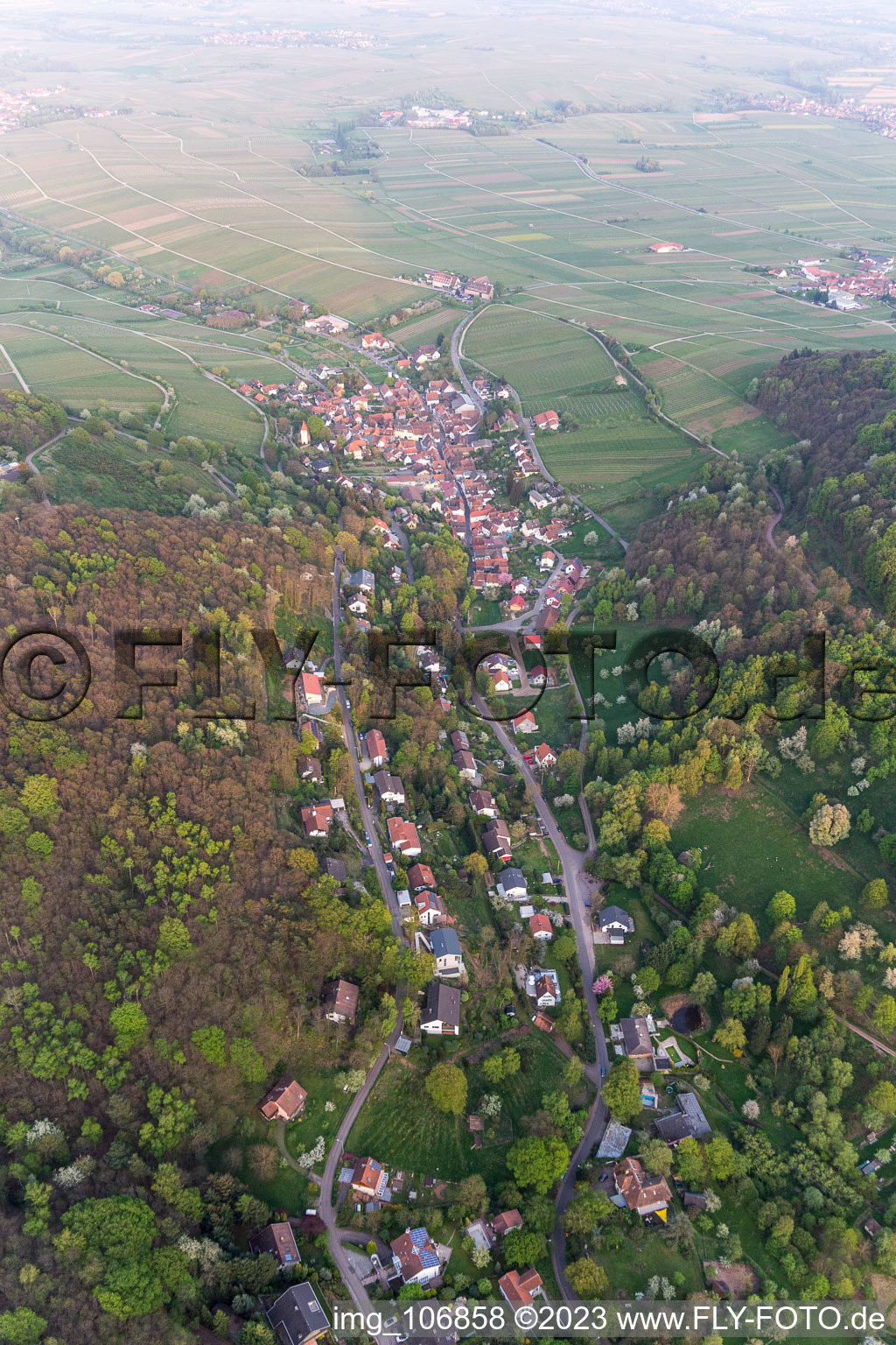 Schrägluftbild von Leinsweiler im Bundesland Rheinland-Pfalz, Deutschland