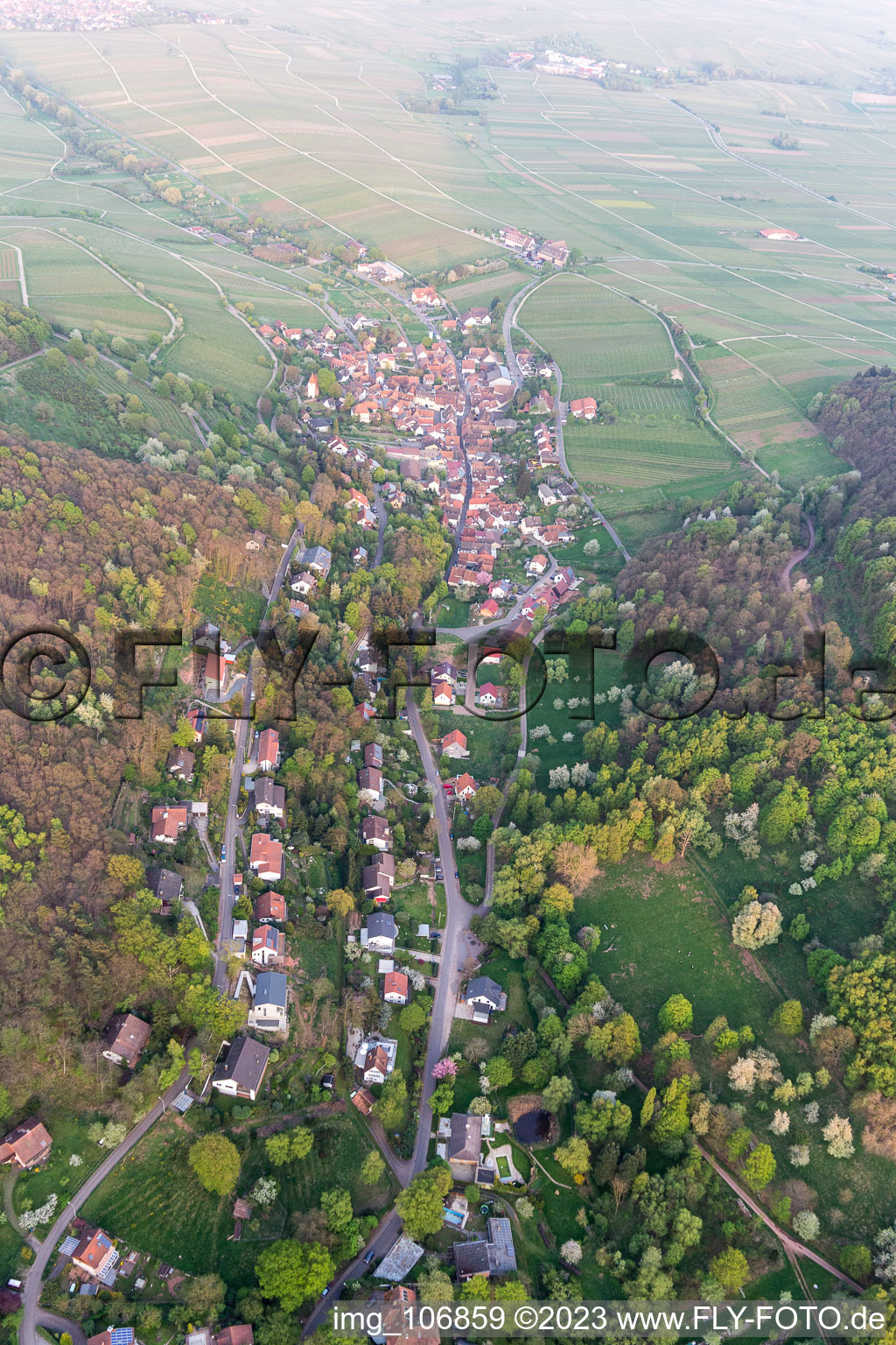 Leinsweiler im Bundesland Rheinland-Pfalz, Deutschland von oben