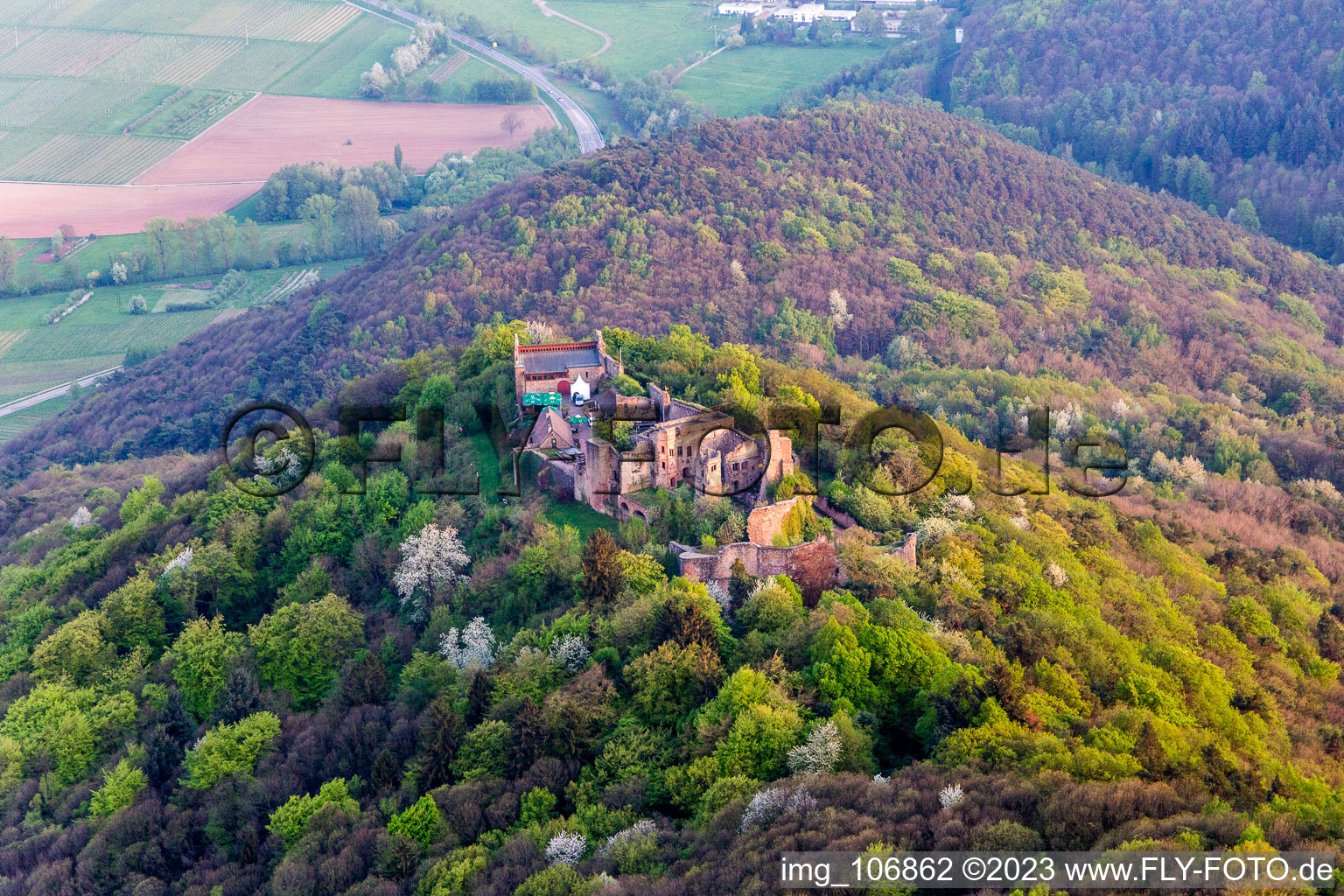 Eschbach, Madenburg im Bundesland Rheinland-Pfalz, Deutschland aus der Luft betrachtet